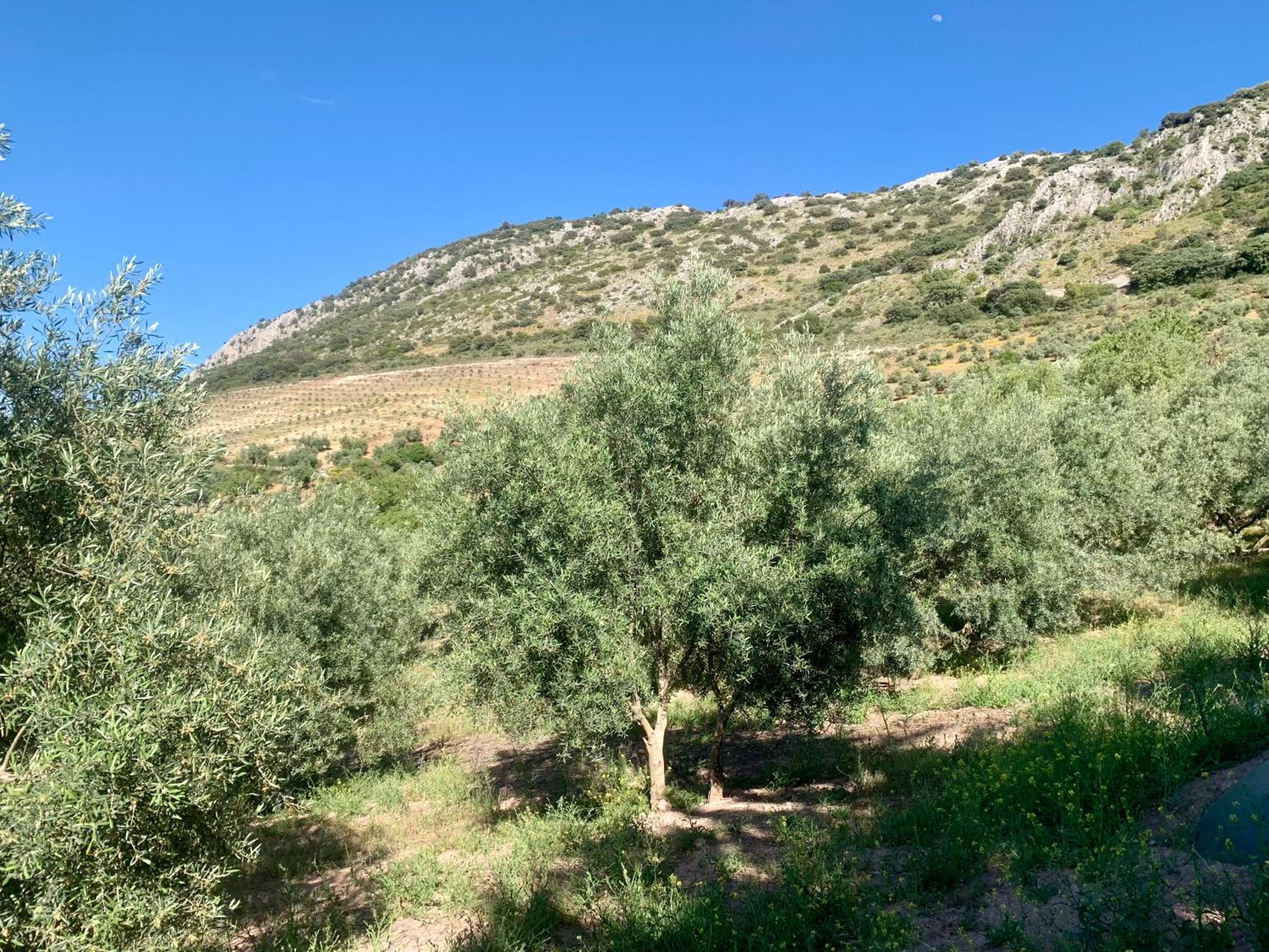 Casa Rural La Ladera