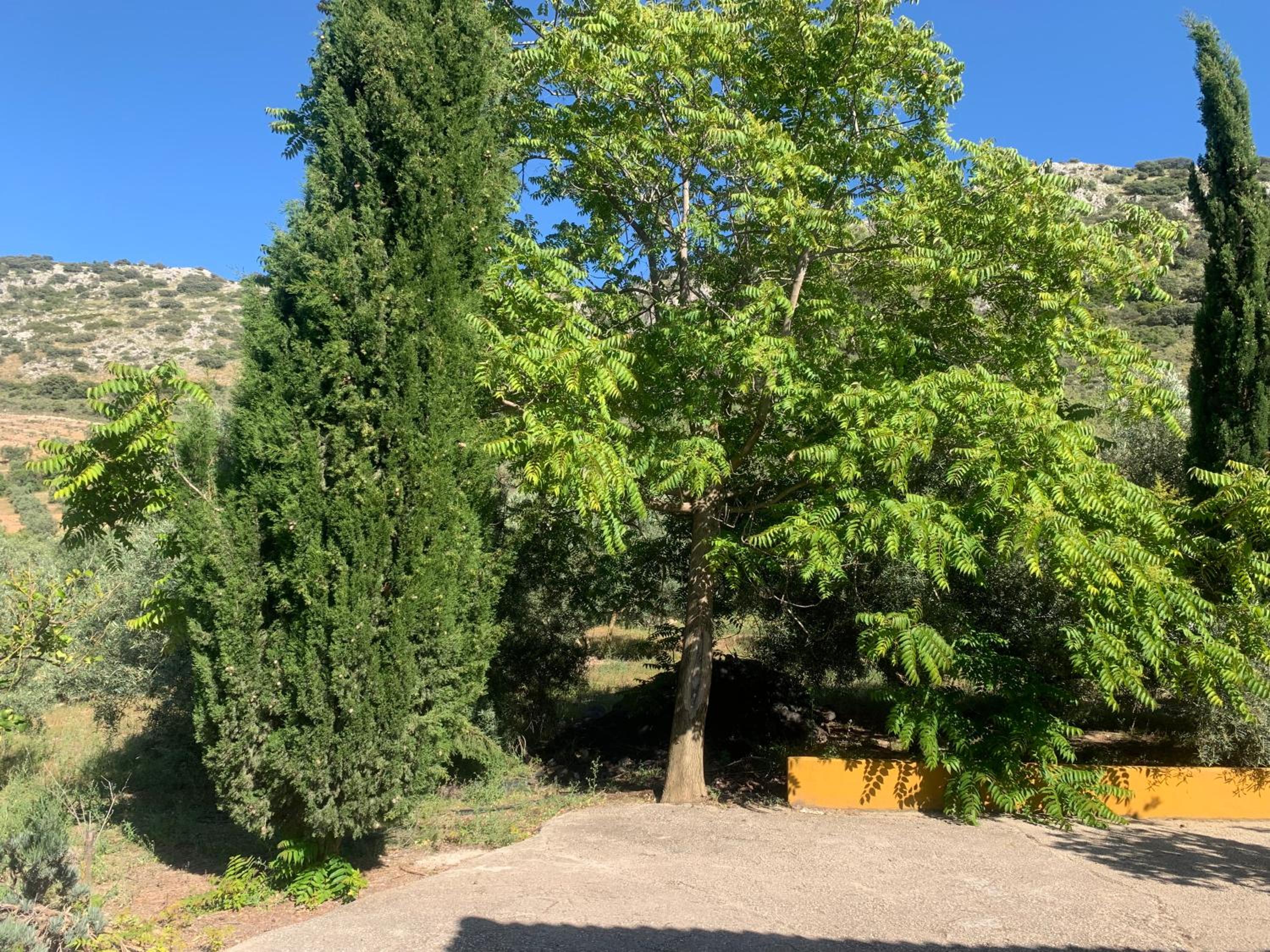 Casa Rural La Ladera