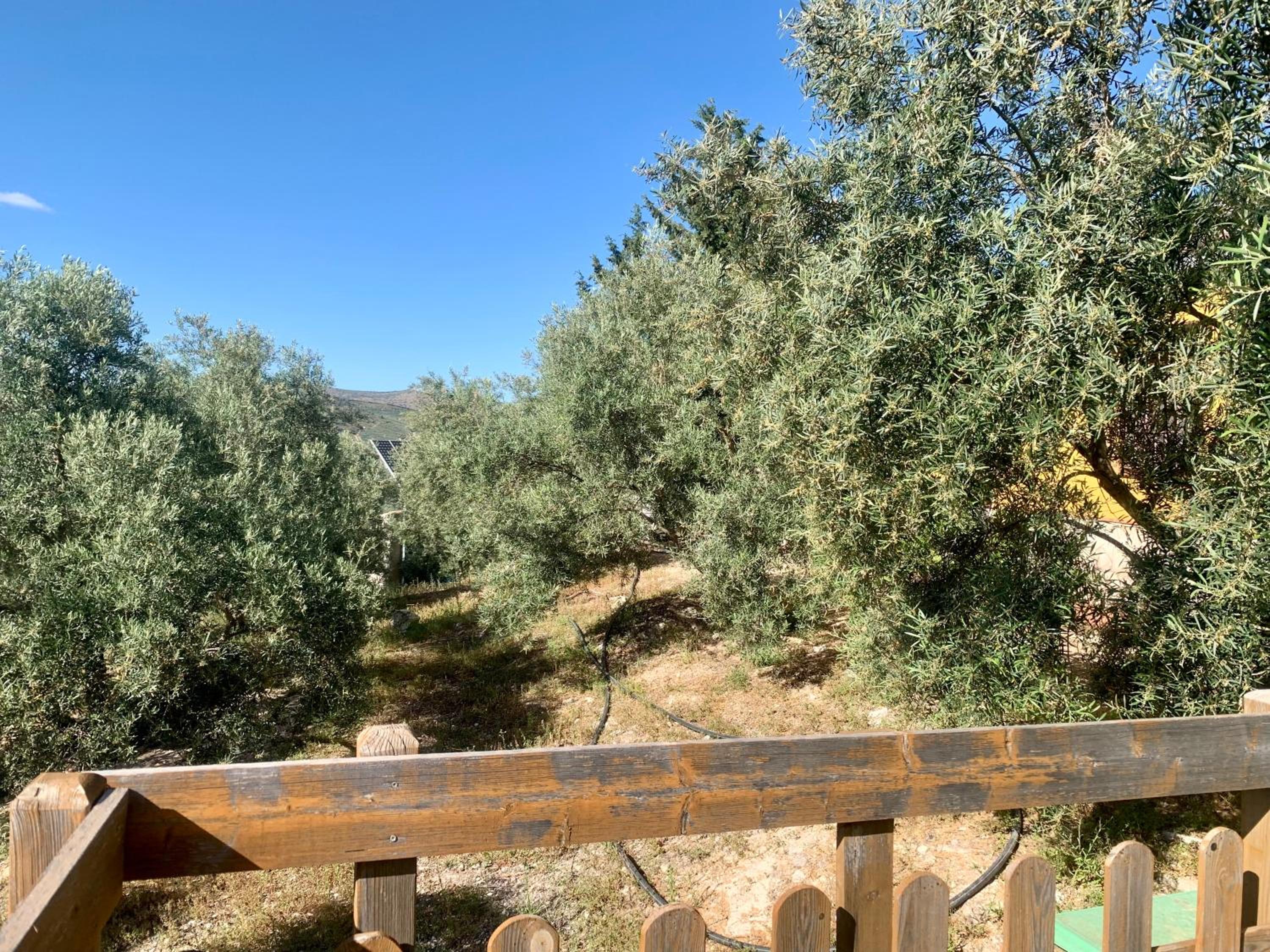 Casa Rural La Ladera
