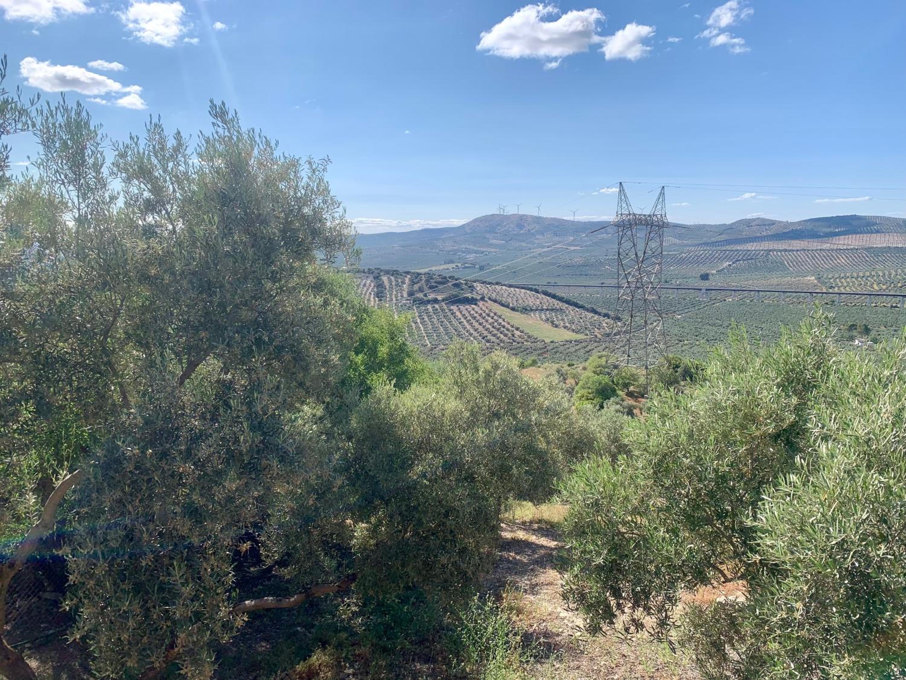 Casa Rural La Ladera