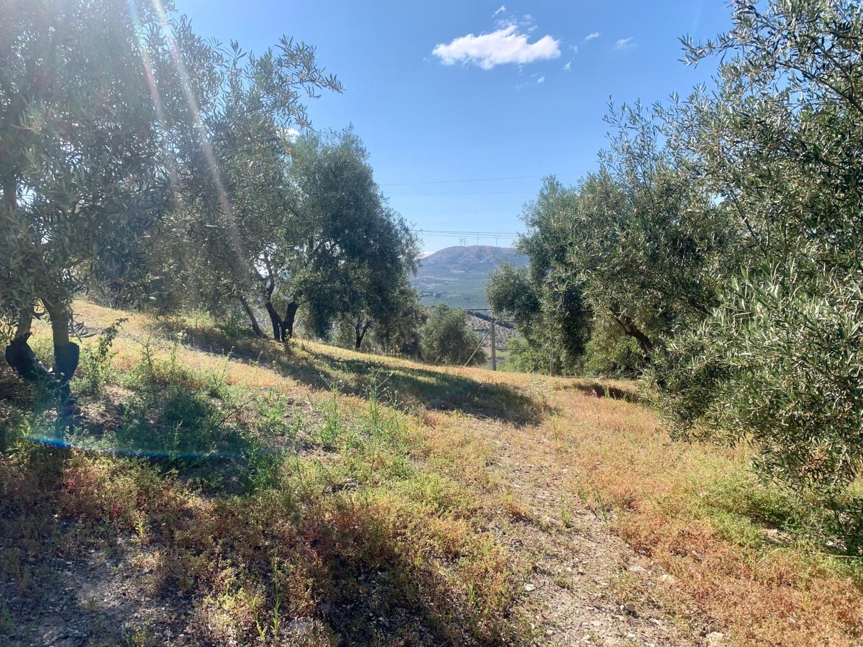 Casa Rural La Ladera