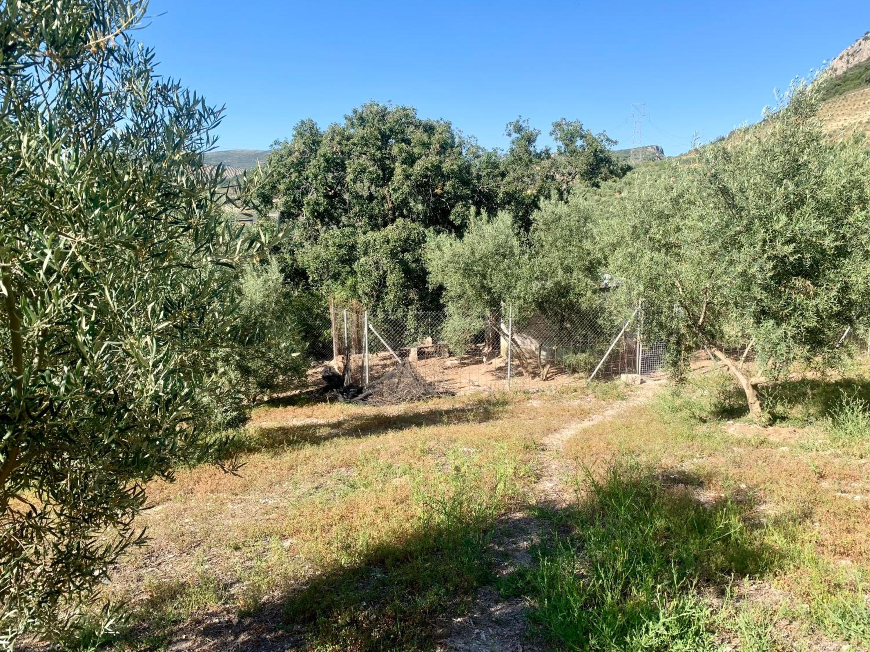 Casa Rural La Ladera
