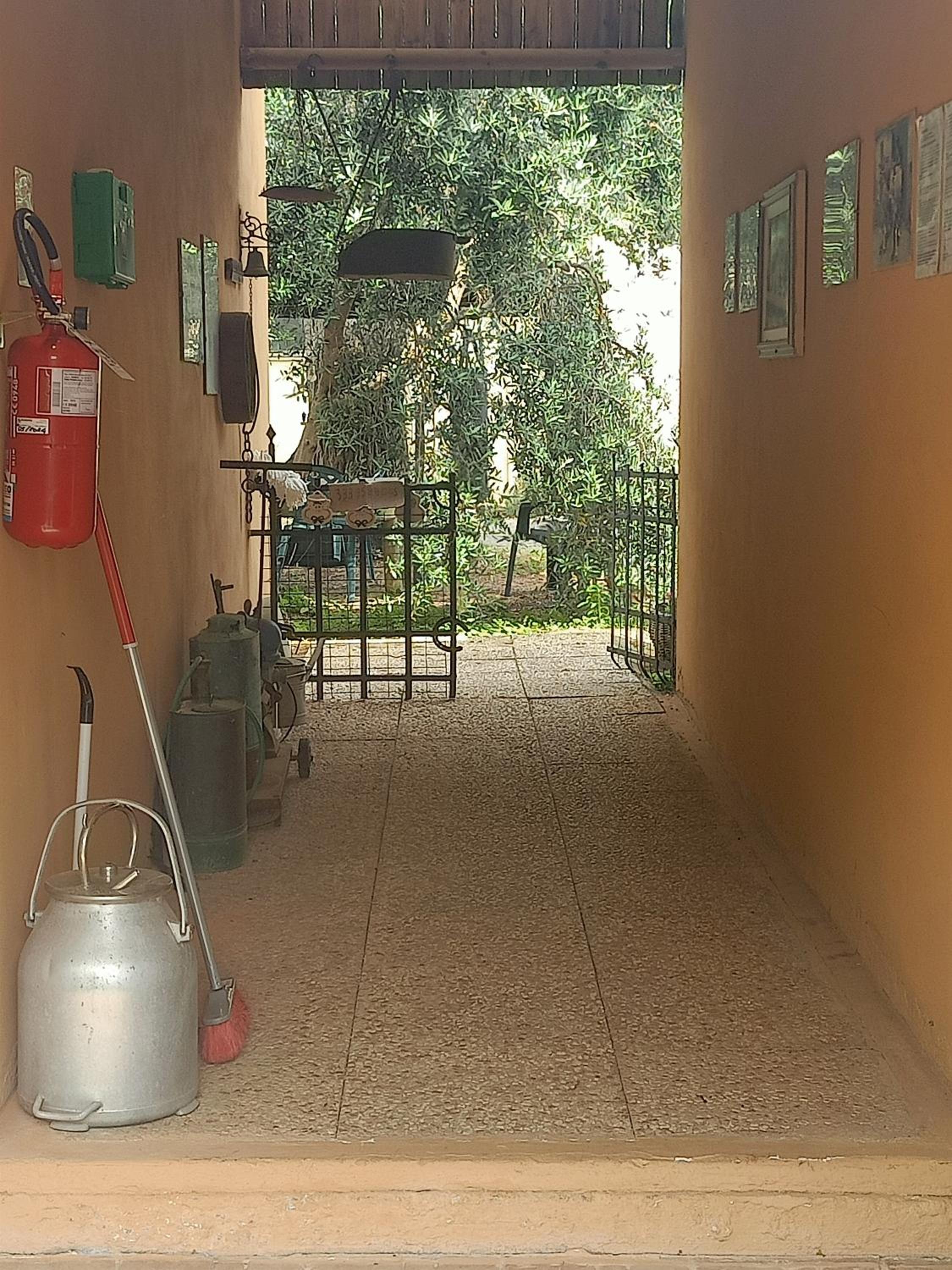 Photo 43
