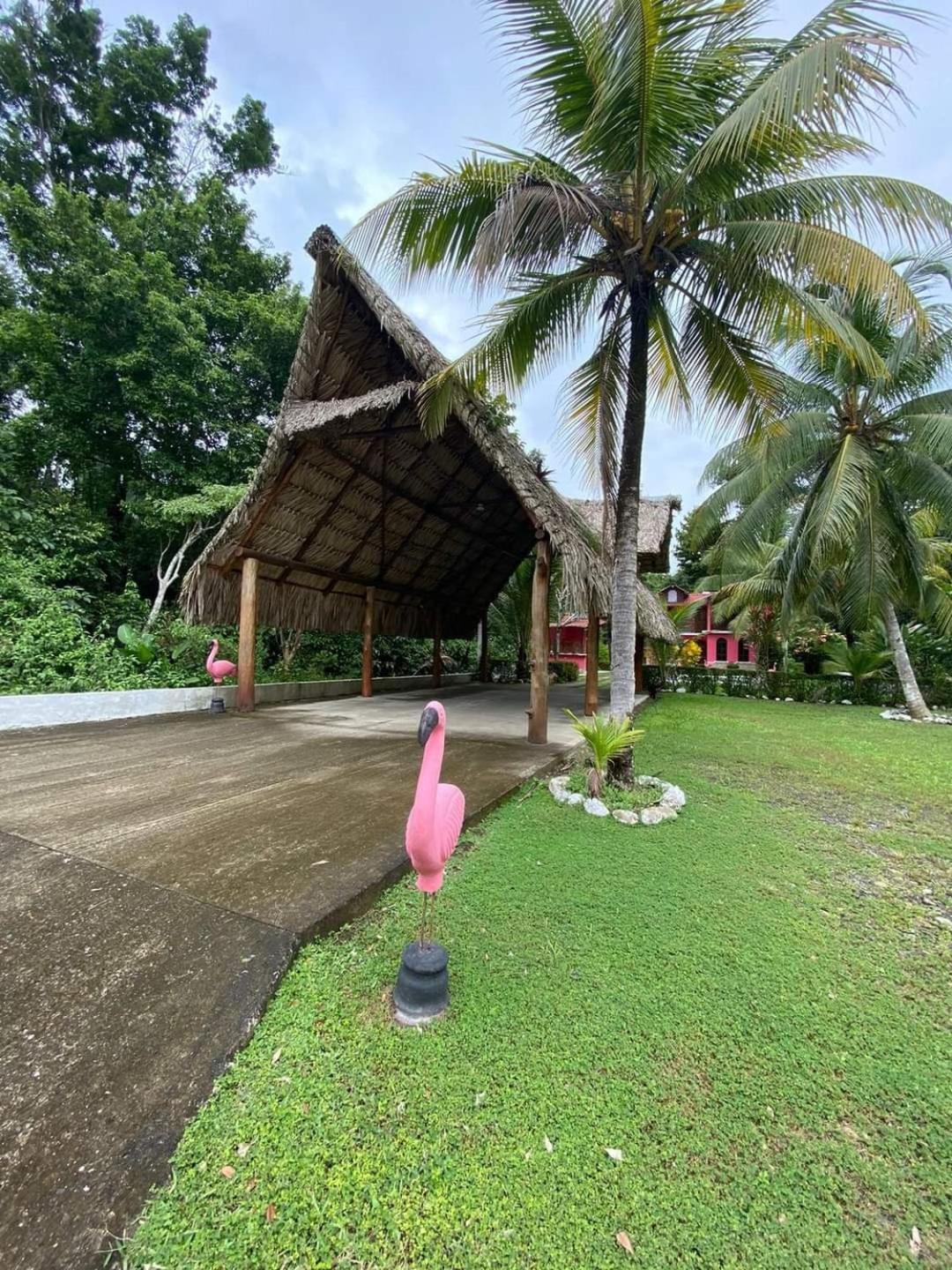 Casa Flamingo