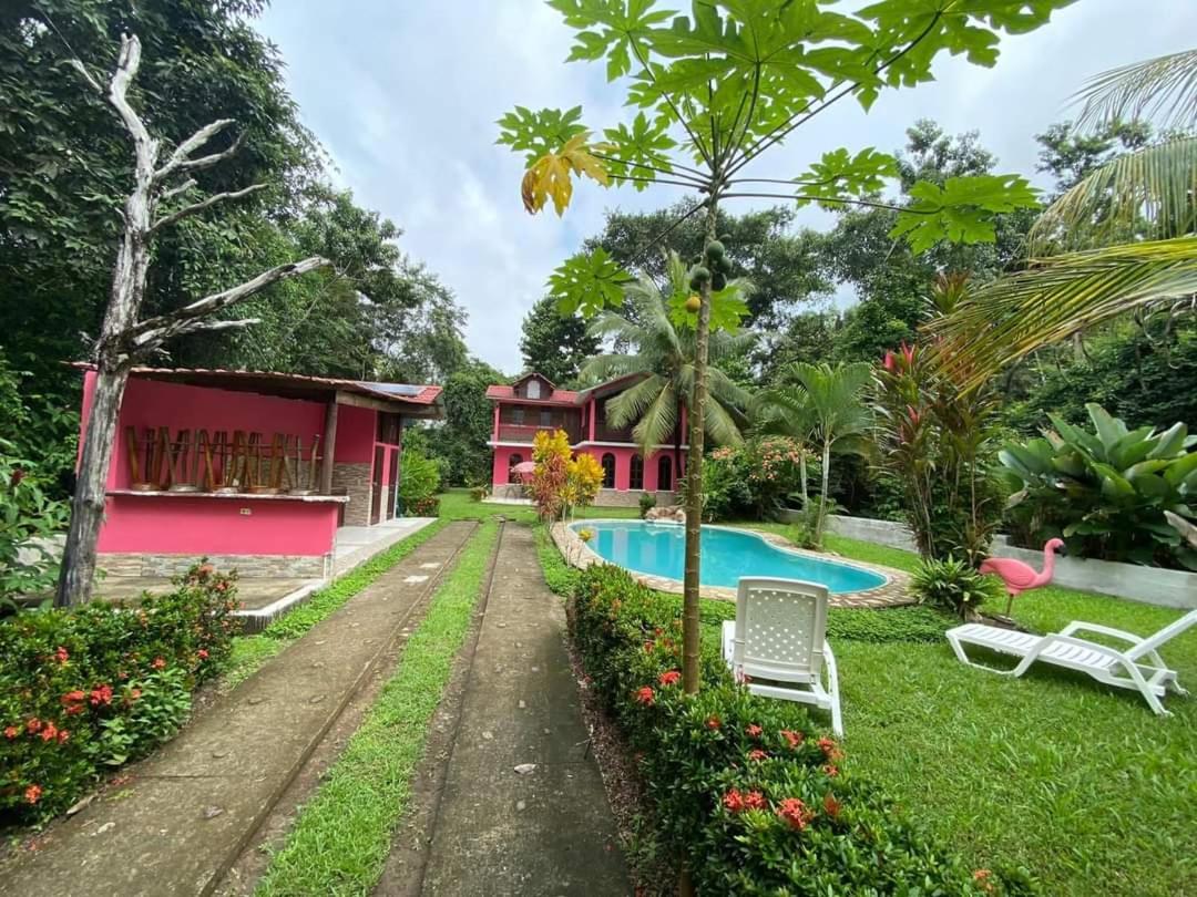 Casa Flamingo