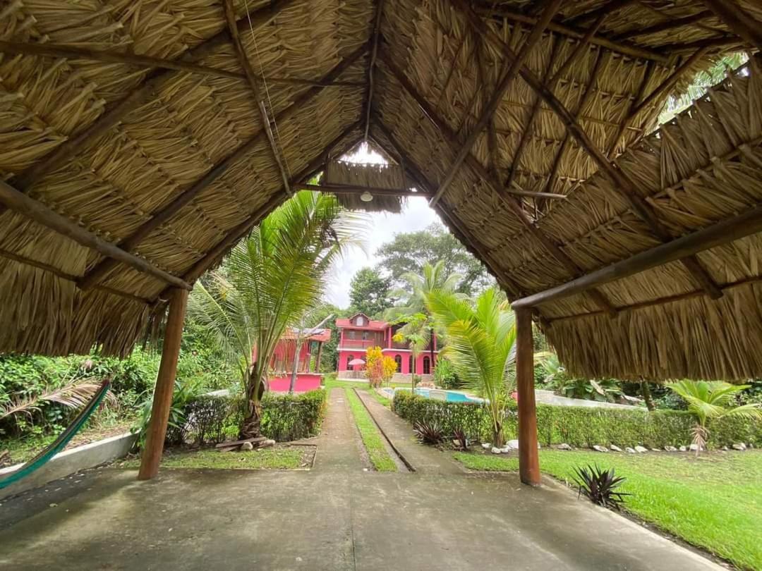 Casa Flamingo