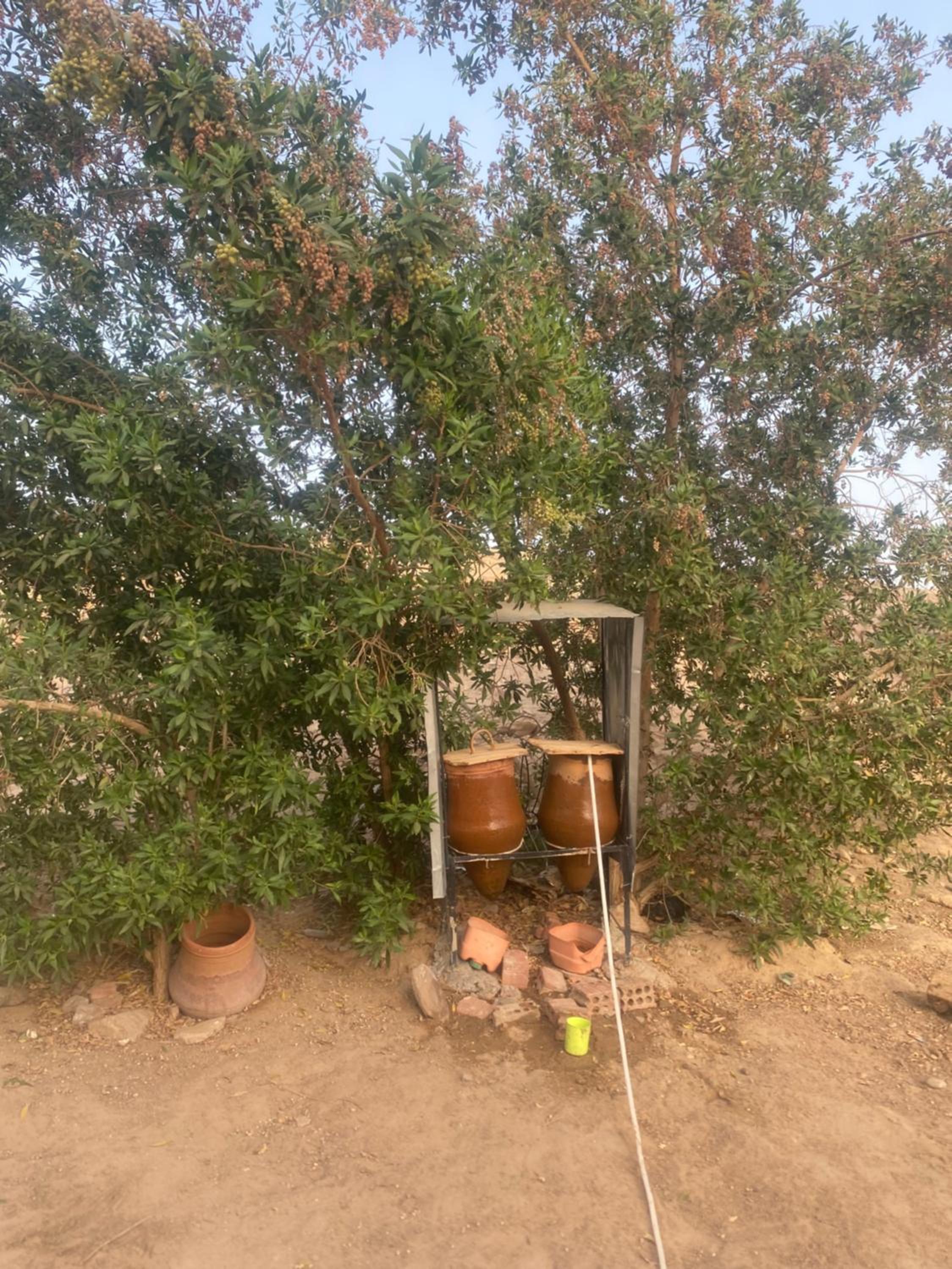 Bafana Bafana Nubian Hostel