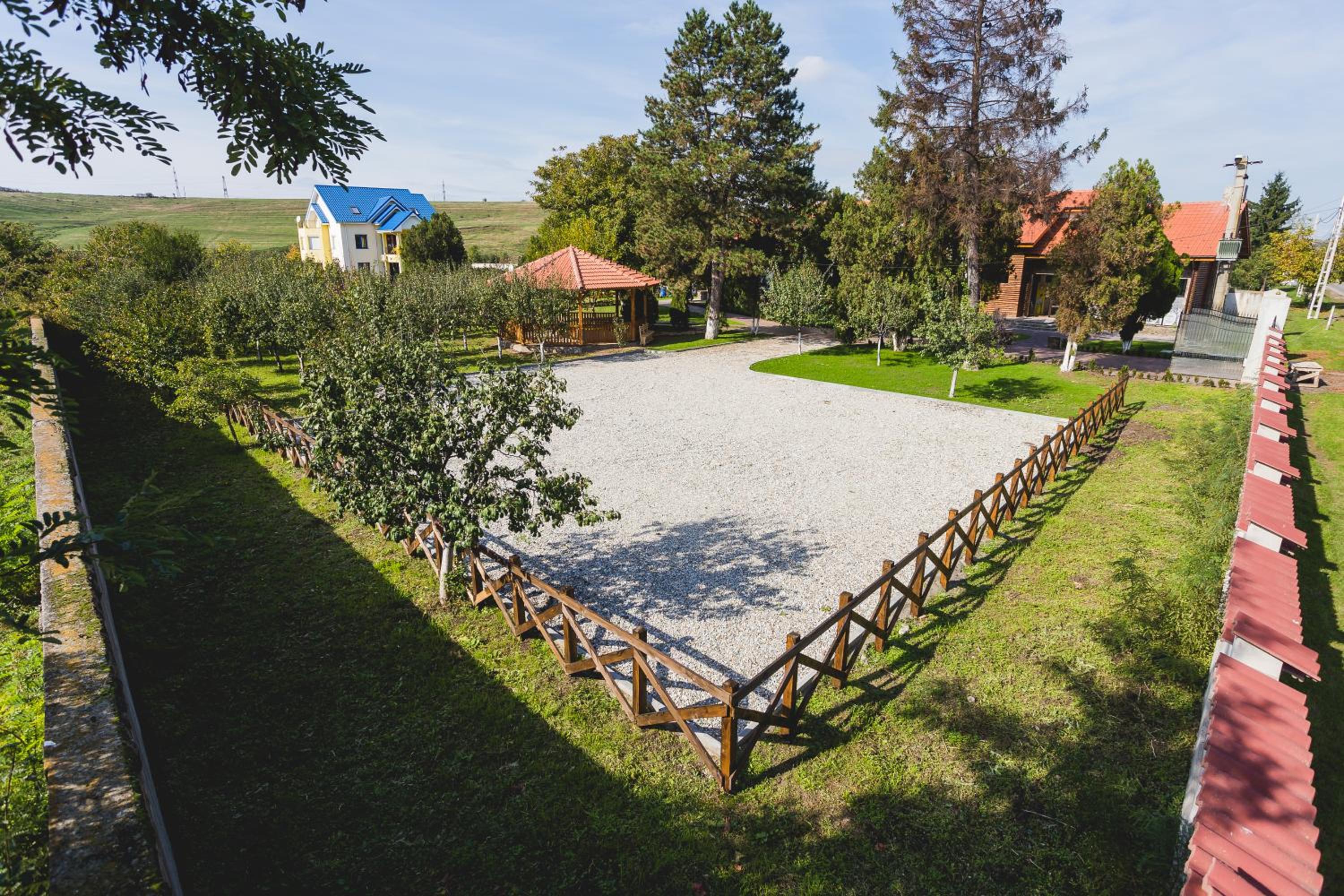 Photo 15