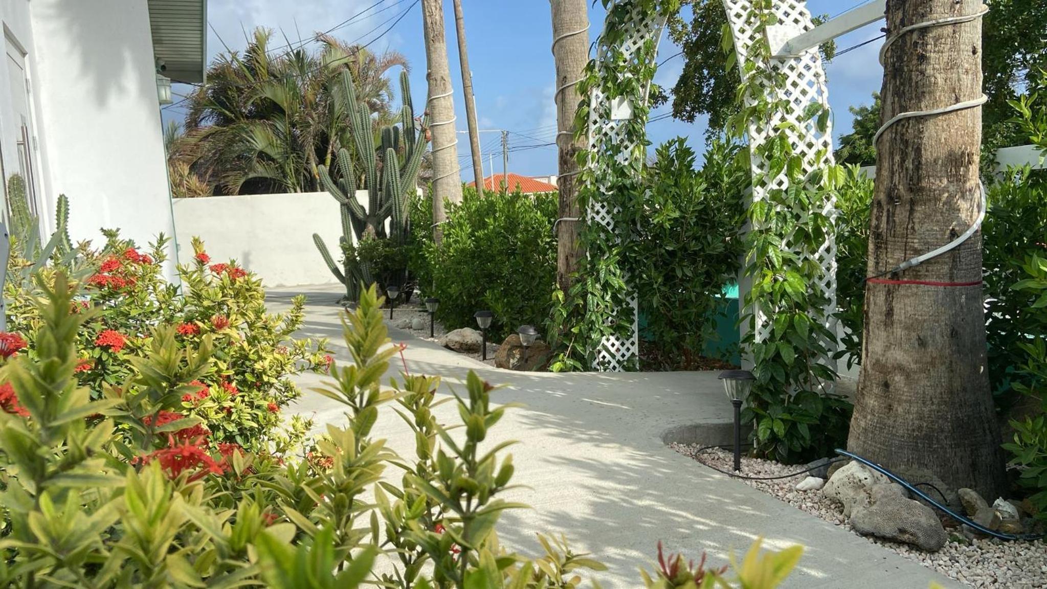 Fantastic Private Tropical Villa in Palm Beach with Breakfast
