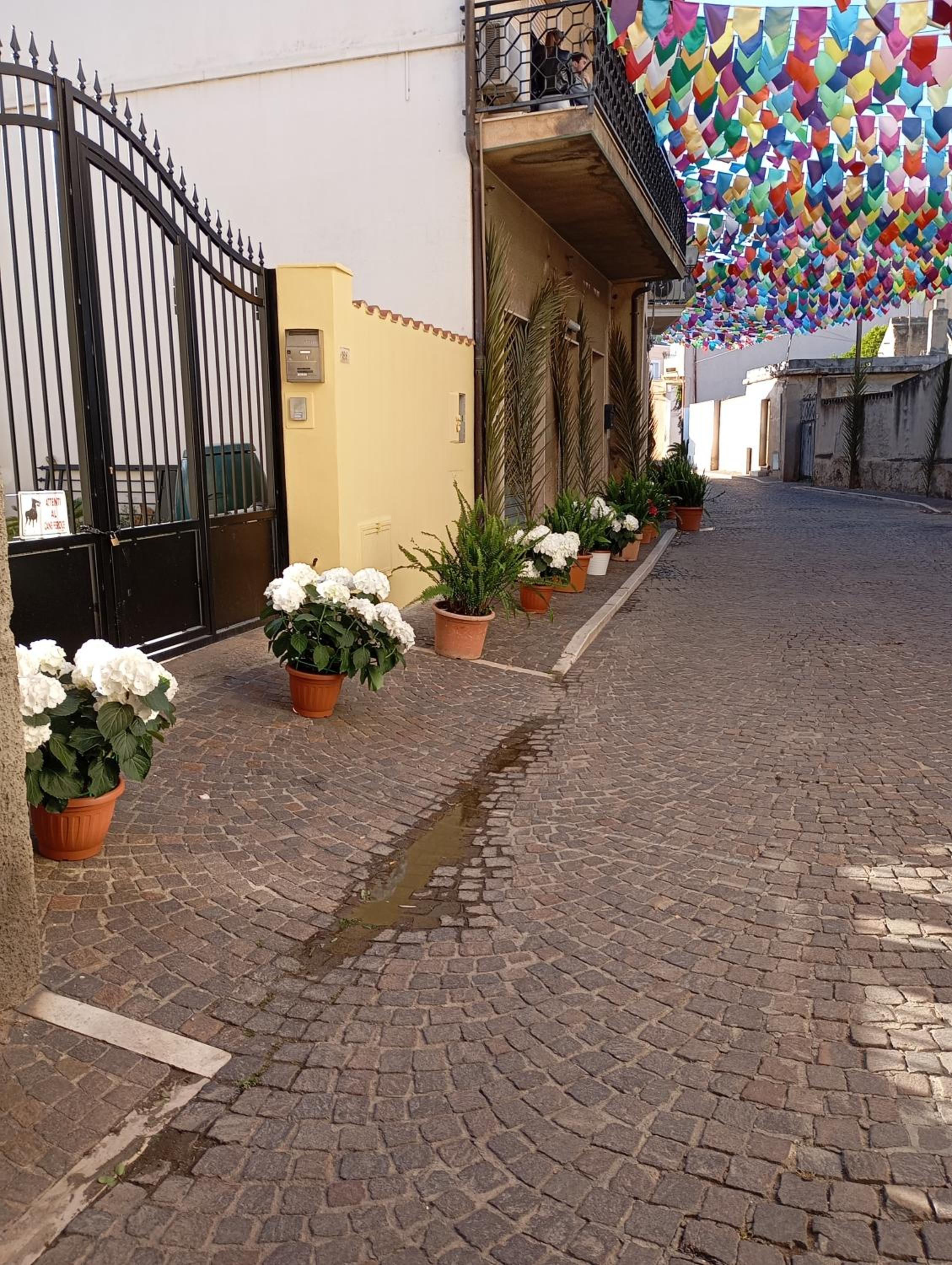 Appartamento Raggio di Sole photo 5