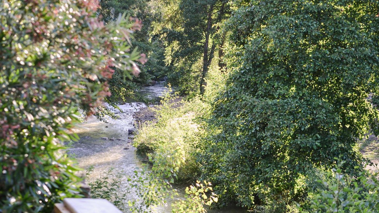 Gites de la Soulondre, photo 14