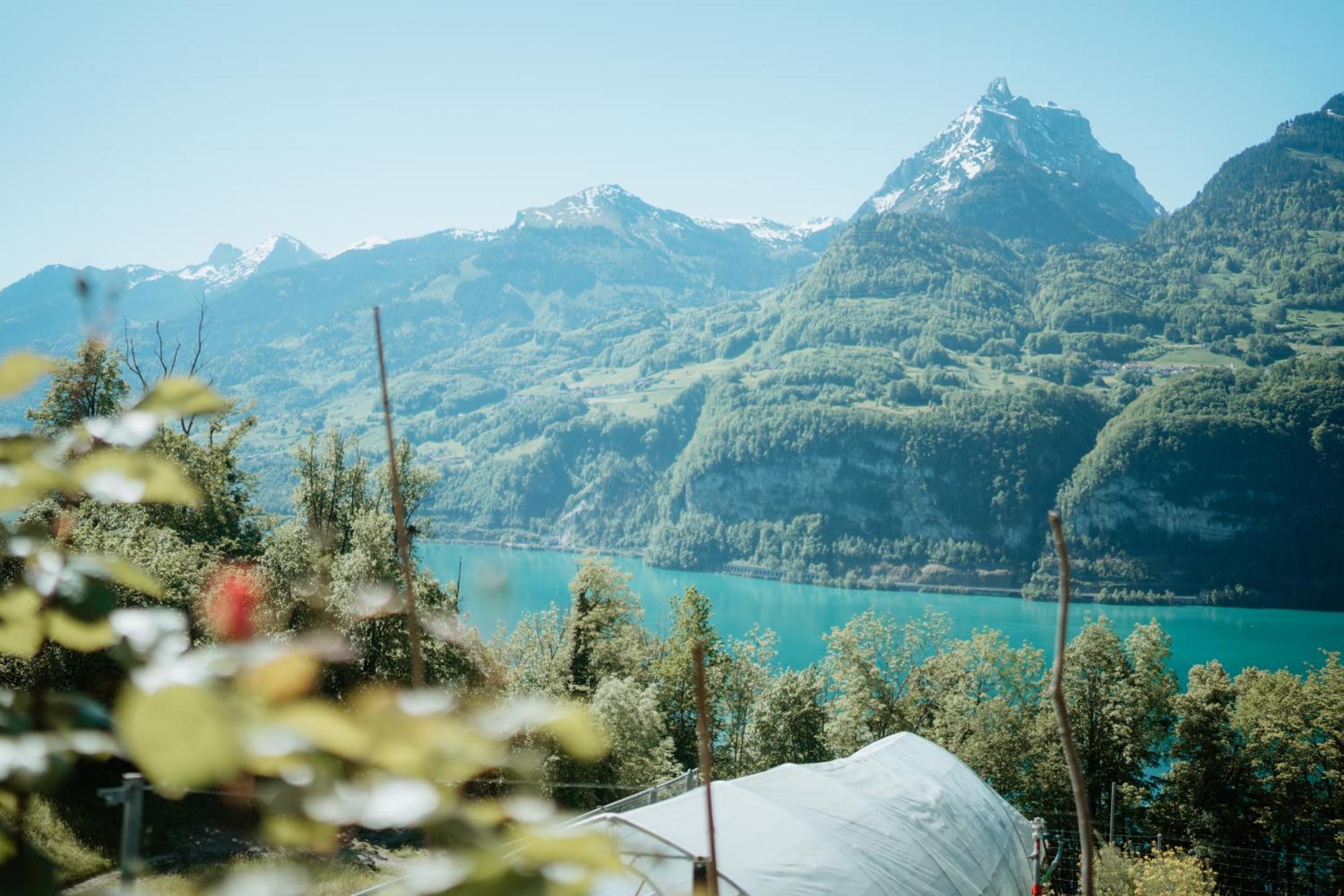 other