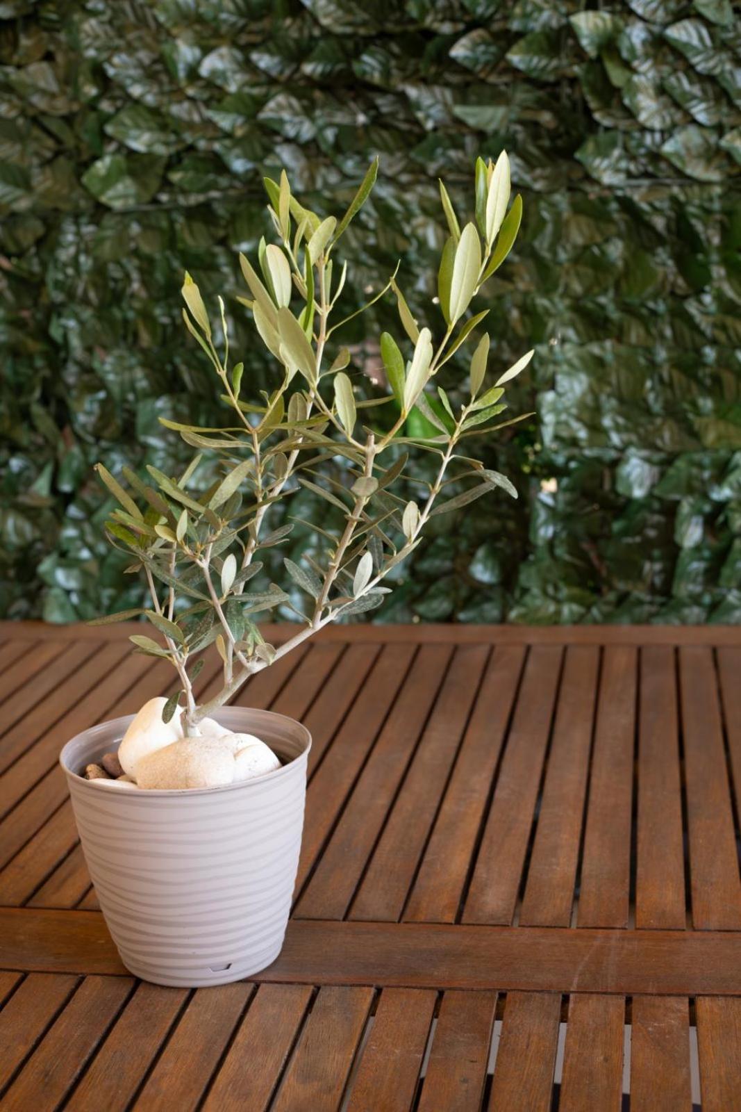 Serene Nest by RentalPro Services - Nikiti Halkidiki
