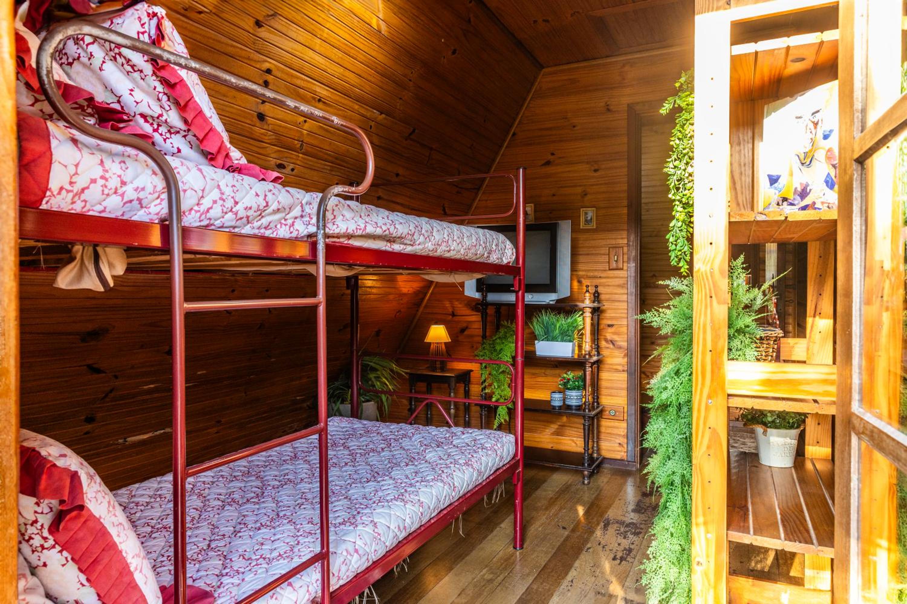 Natureza, piscina, sitio | Brazilan Corner