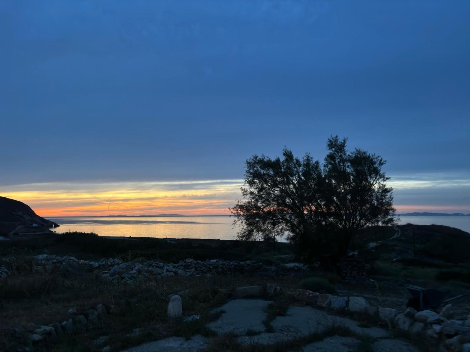 Mitato's Horizon photo 5