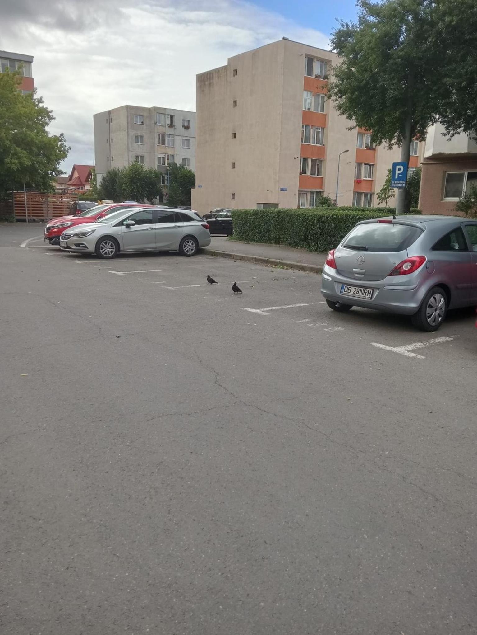 parking