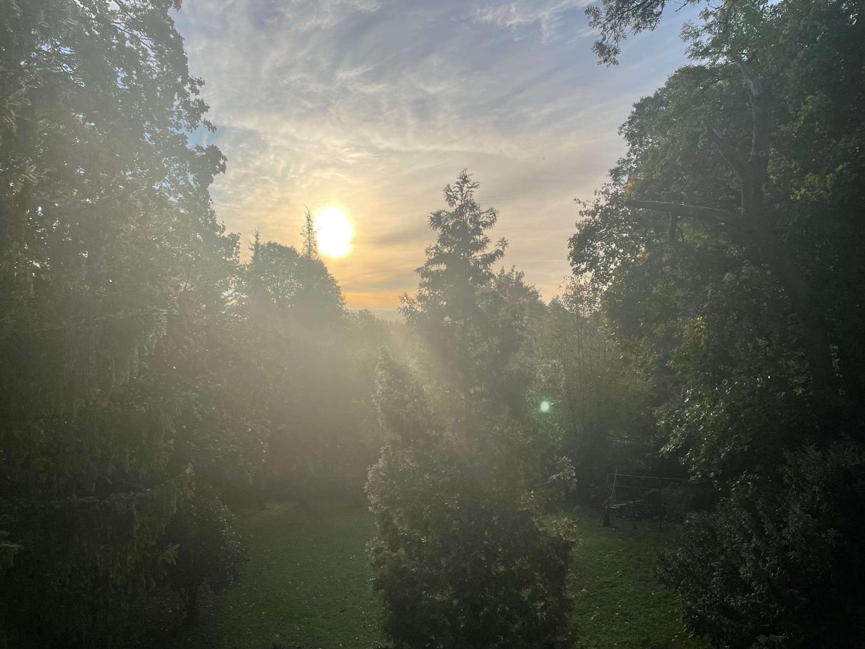 Liebevoll eingerichtetes Ferienhaus mit großem Garten