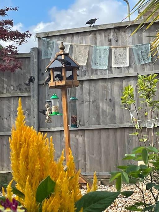 Garden Getaway