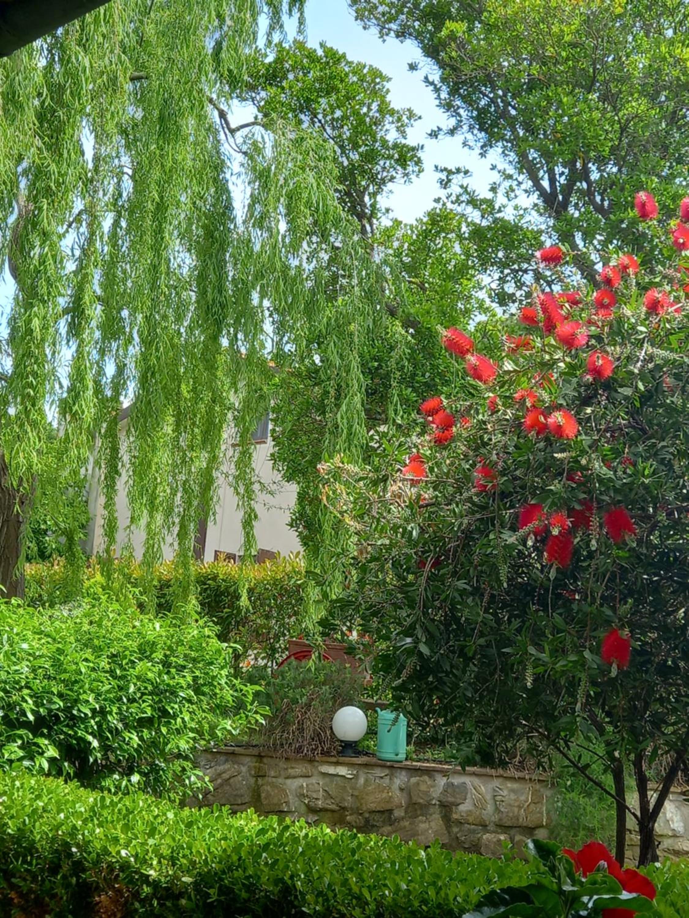 Photo 23