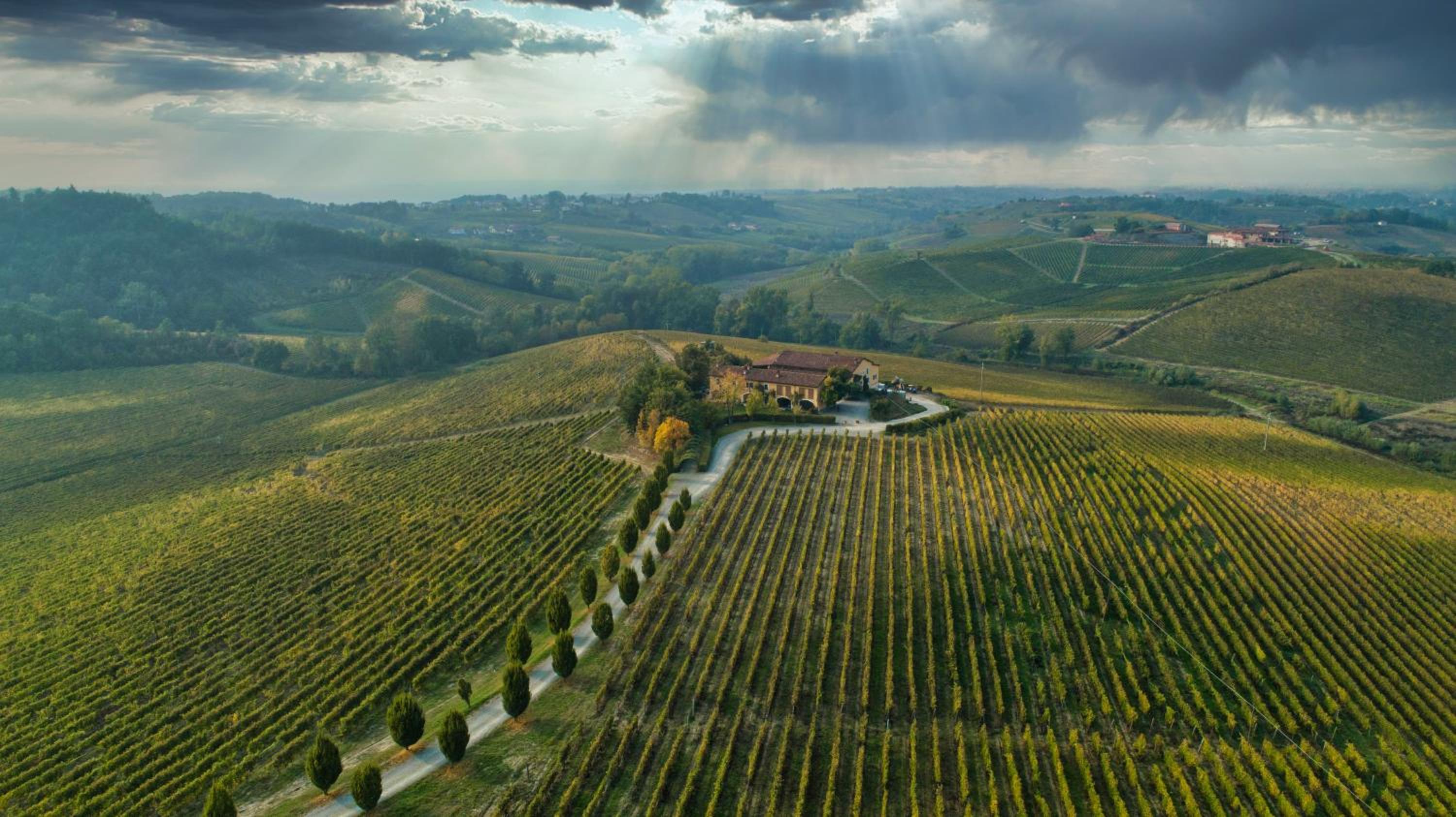 Tenuta La Meirana Gavi
