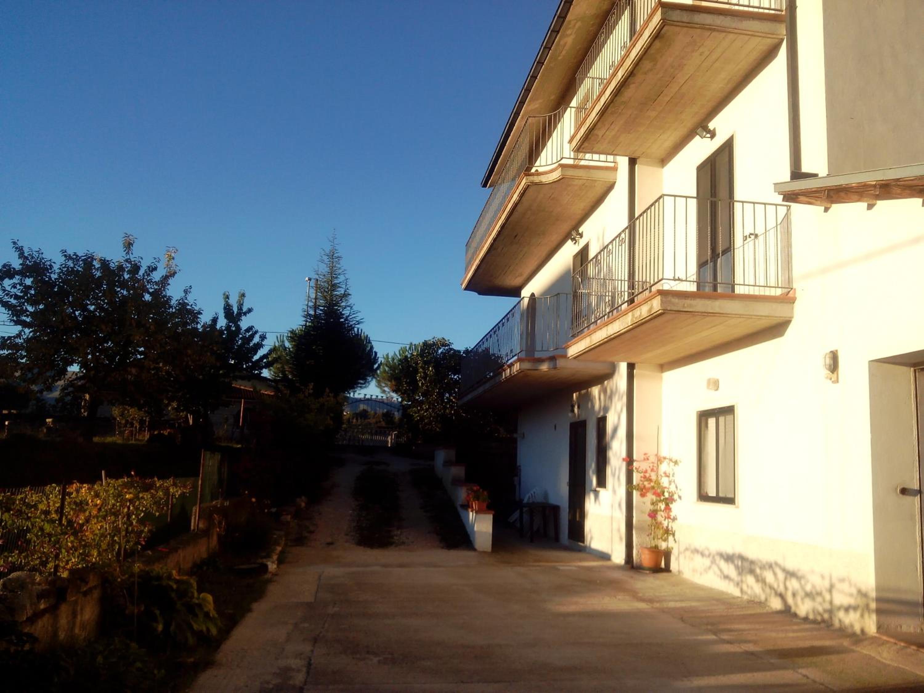 Photo 42
