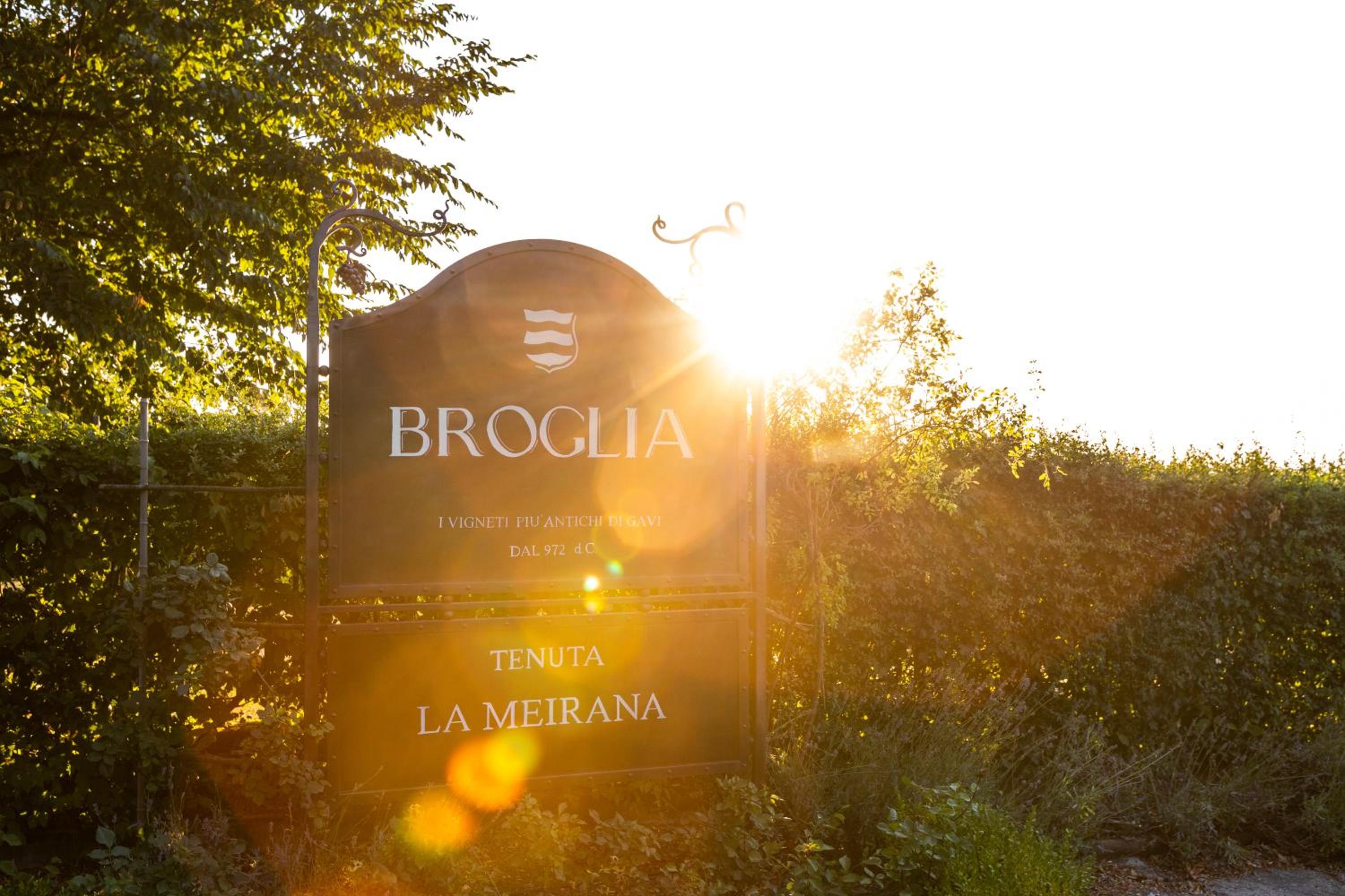 Tenuta La Meirana Gavi