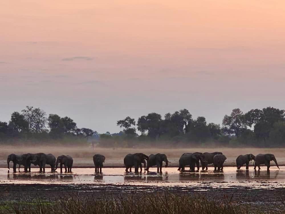 King Bed Hippo Lagoon Off Grid