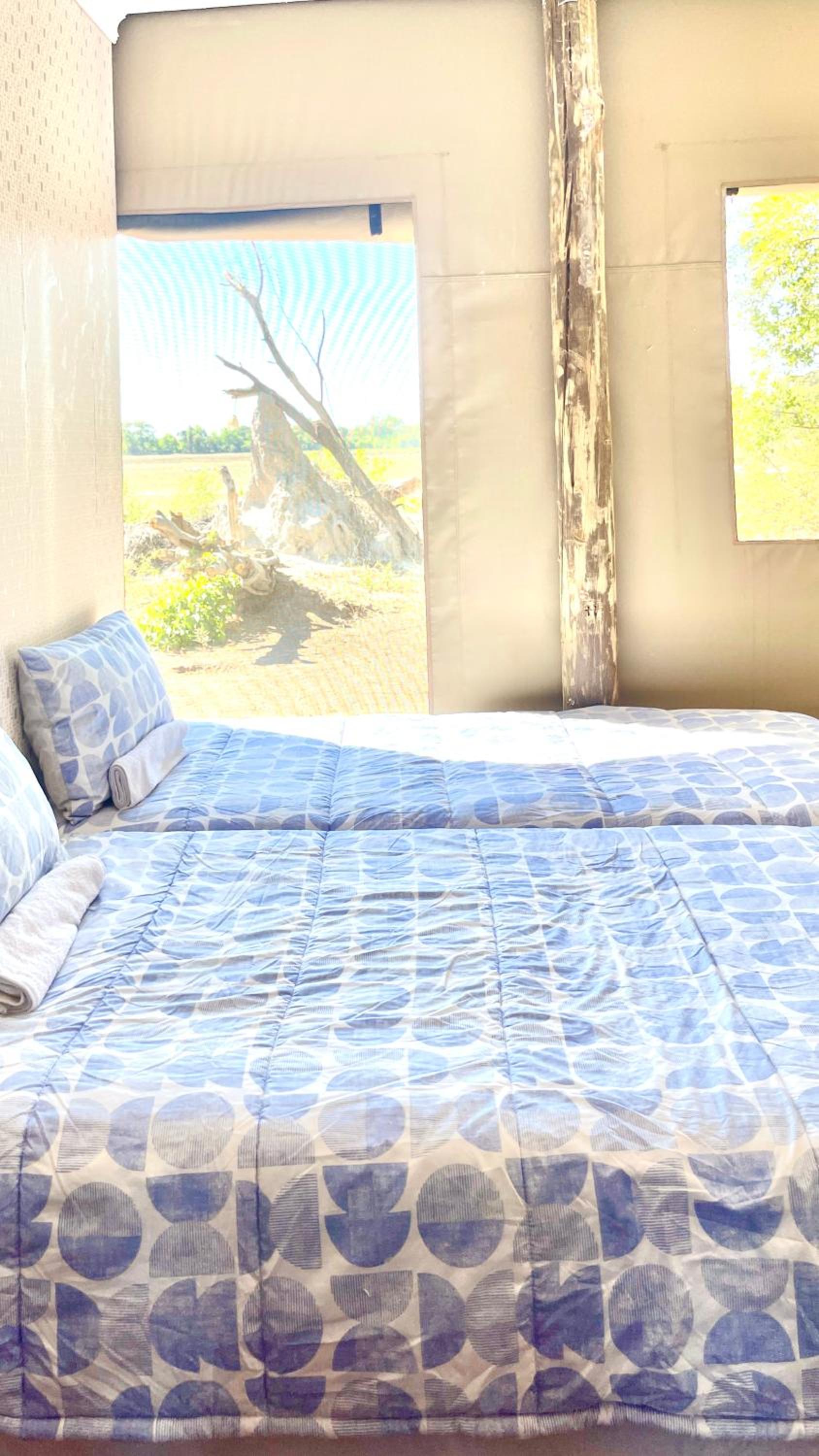 King Bed Hippo Lagoon Off Grid