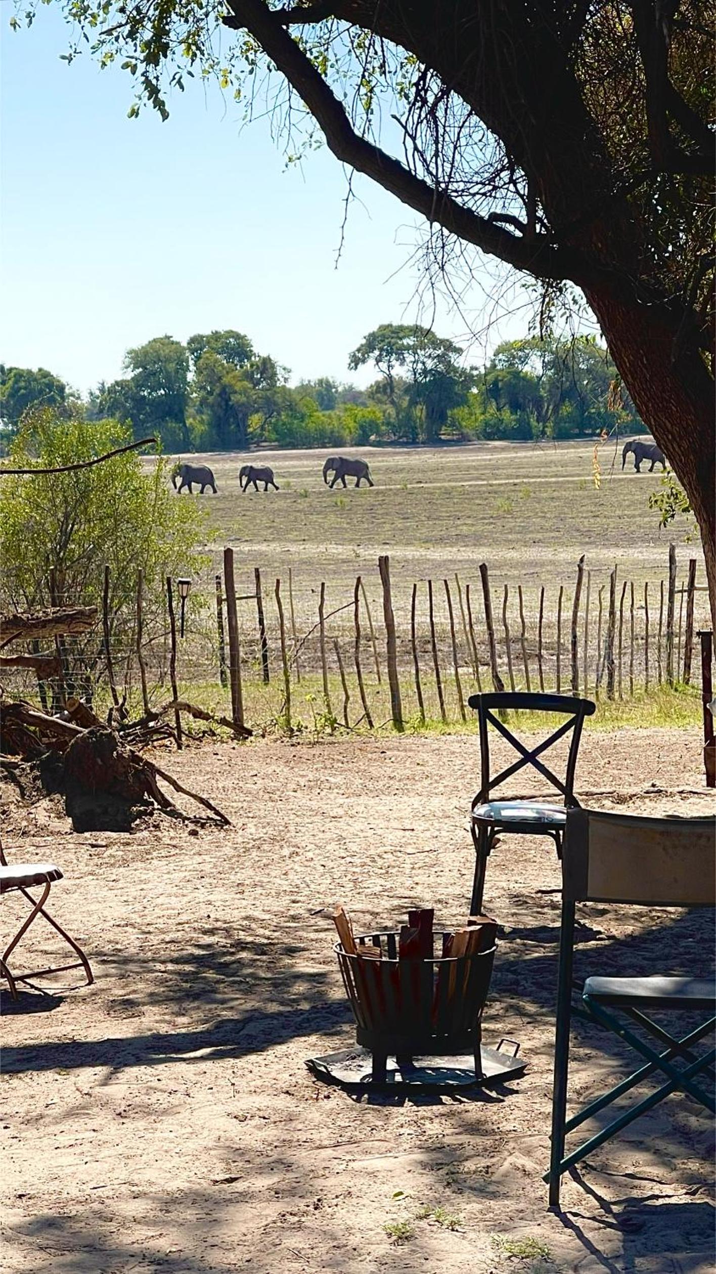 King Bed Hippo Lagoon Off Grid