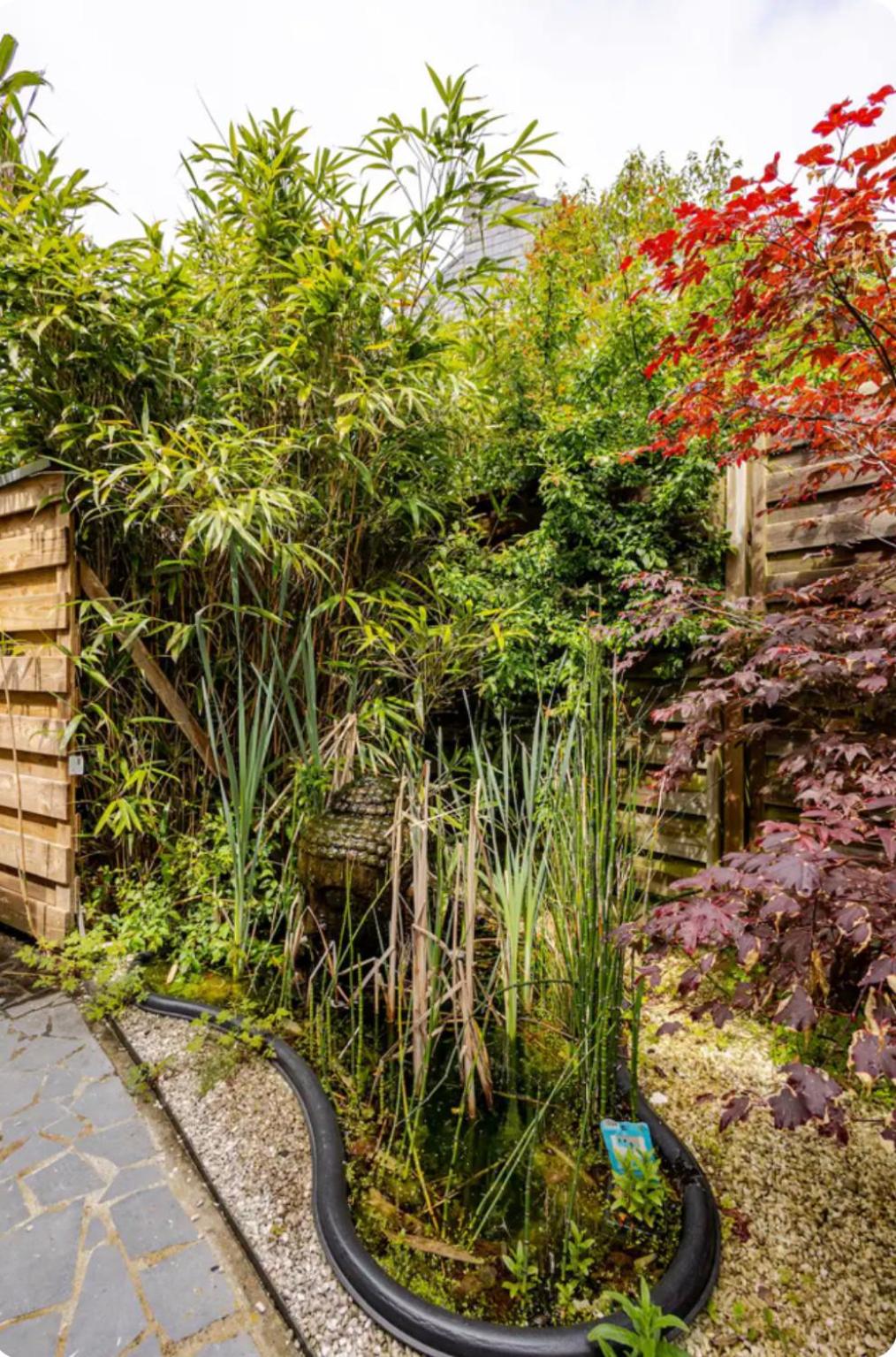 Duna - Japandi B&B met topontbijt & wellness