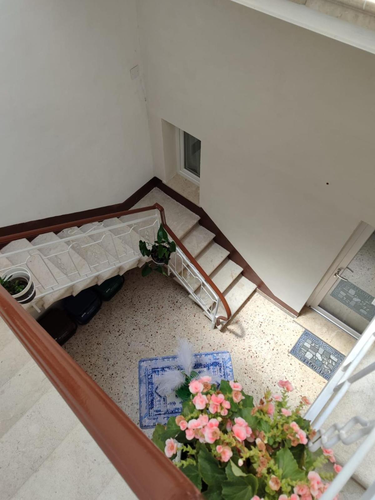 Mediterranea Home