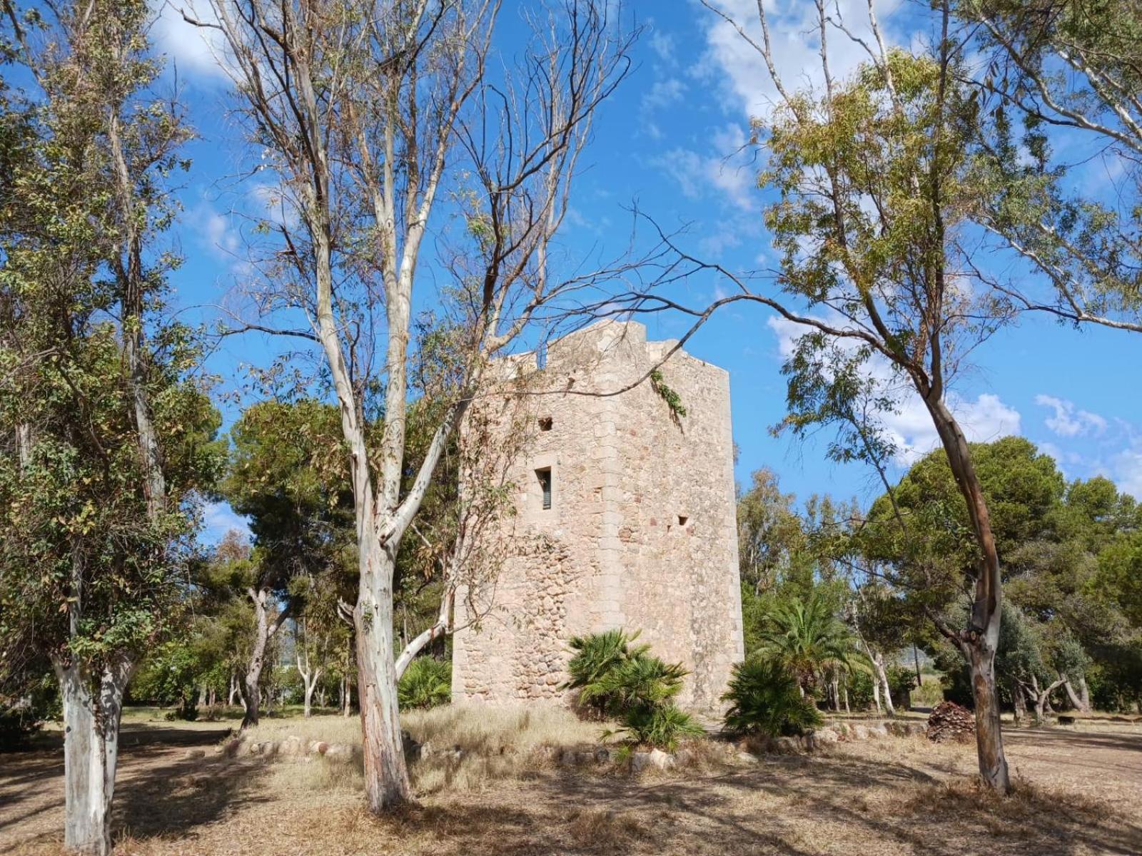 Torre la Sal - Encanto natural view 5