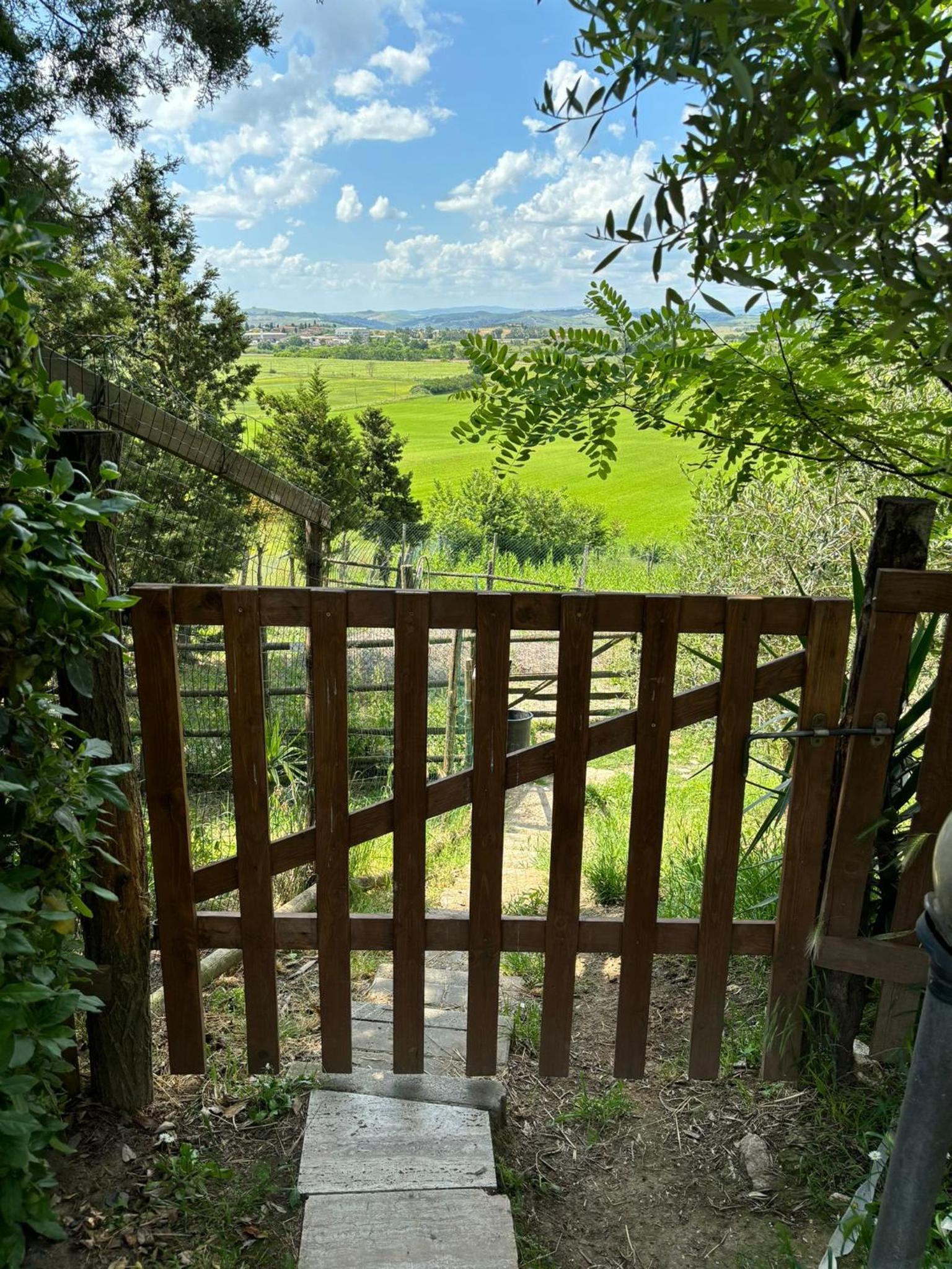 La Torre di Viepri view 3