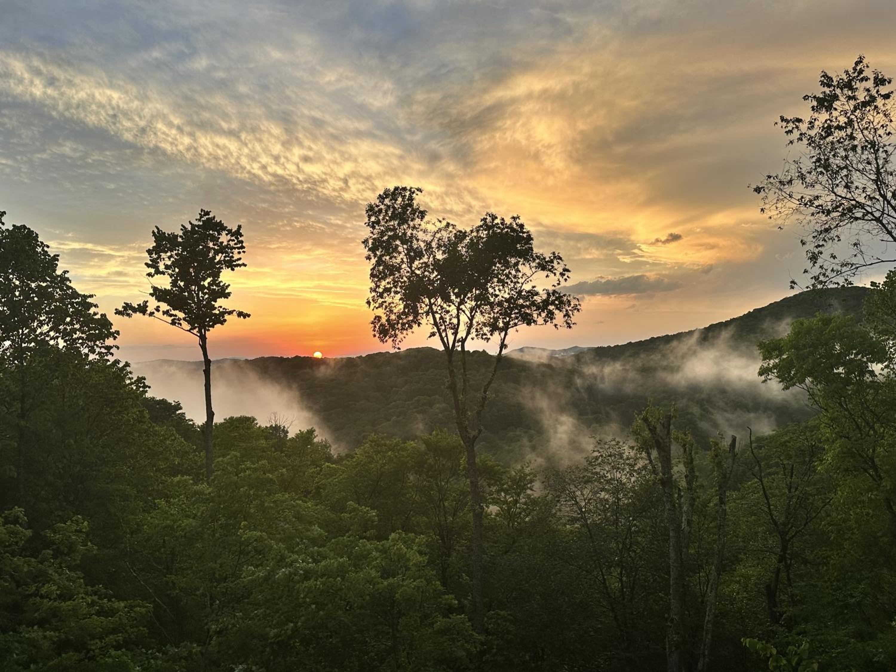Timber Ridge Retreat