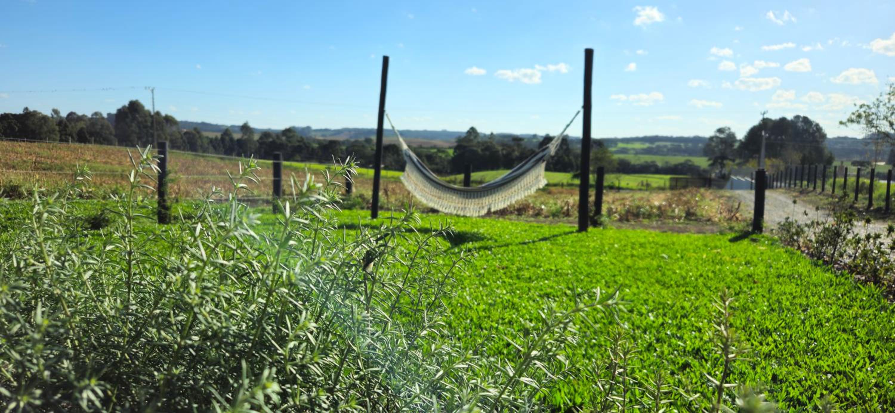 Chalé de Campo com hidro - Chalé Flores do Campo