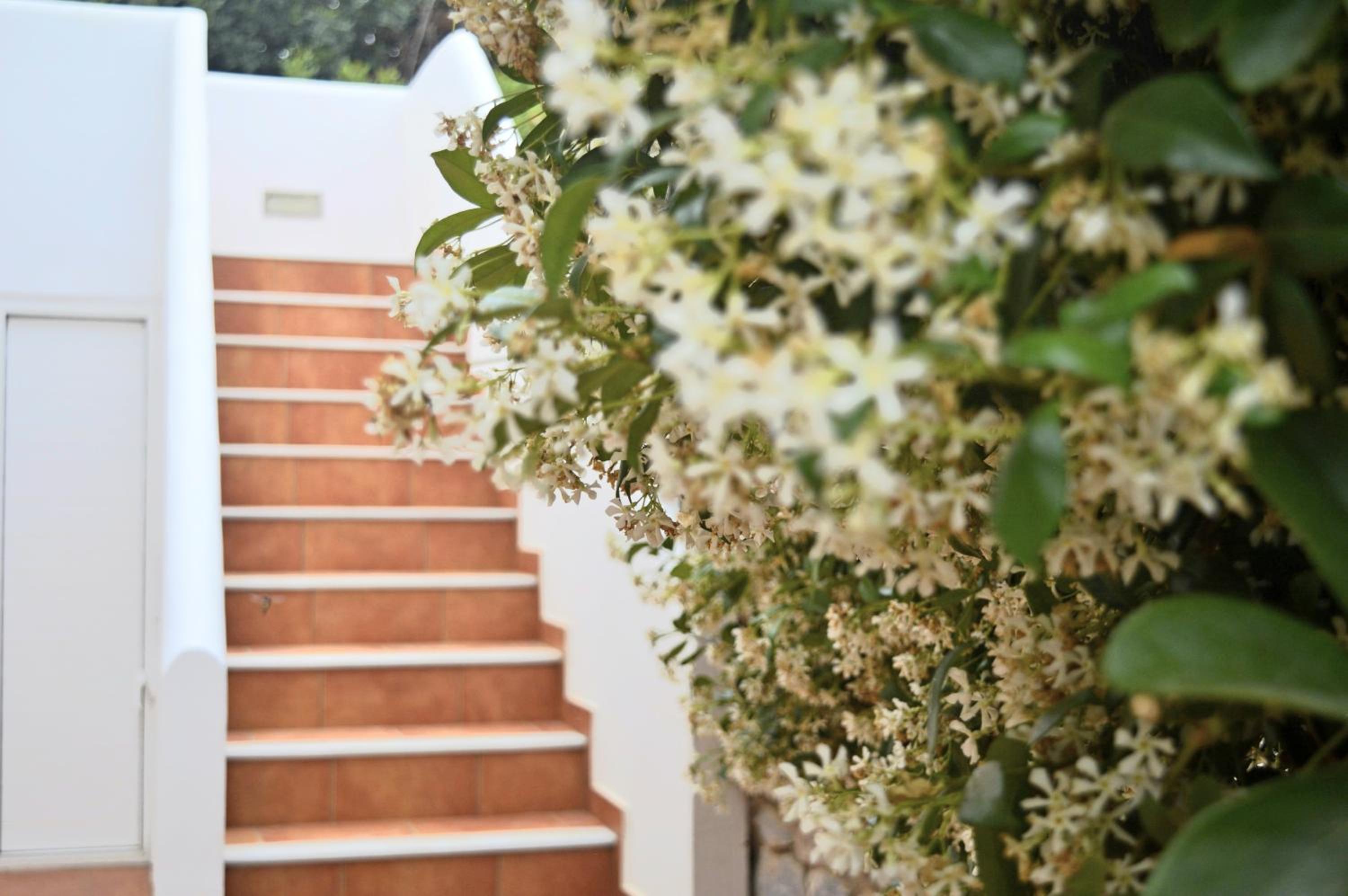 Malvazios Villas Azure Sea view 3