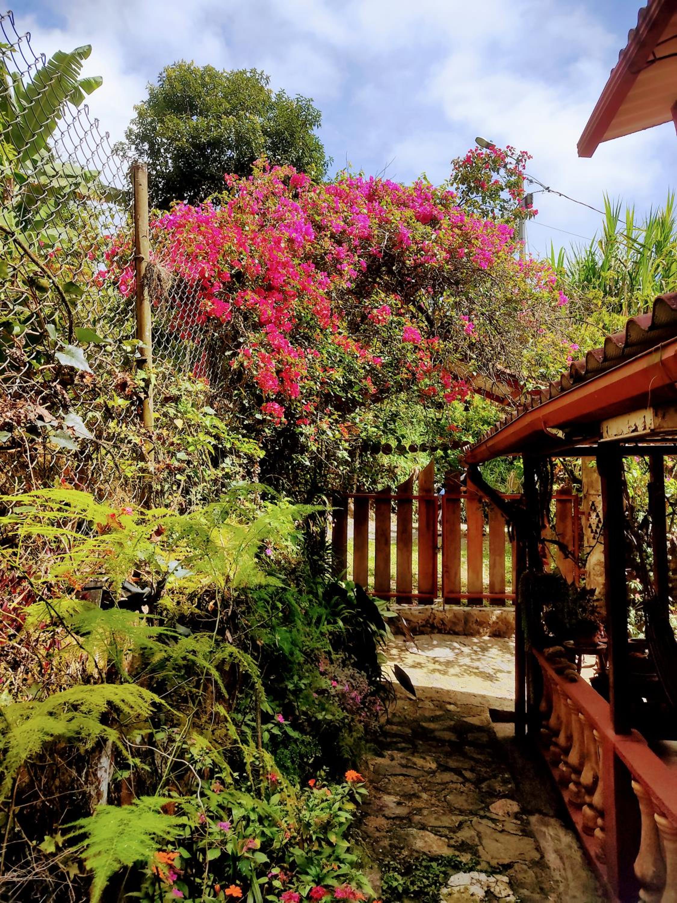 El Rinconcito Feliz view 3