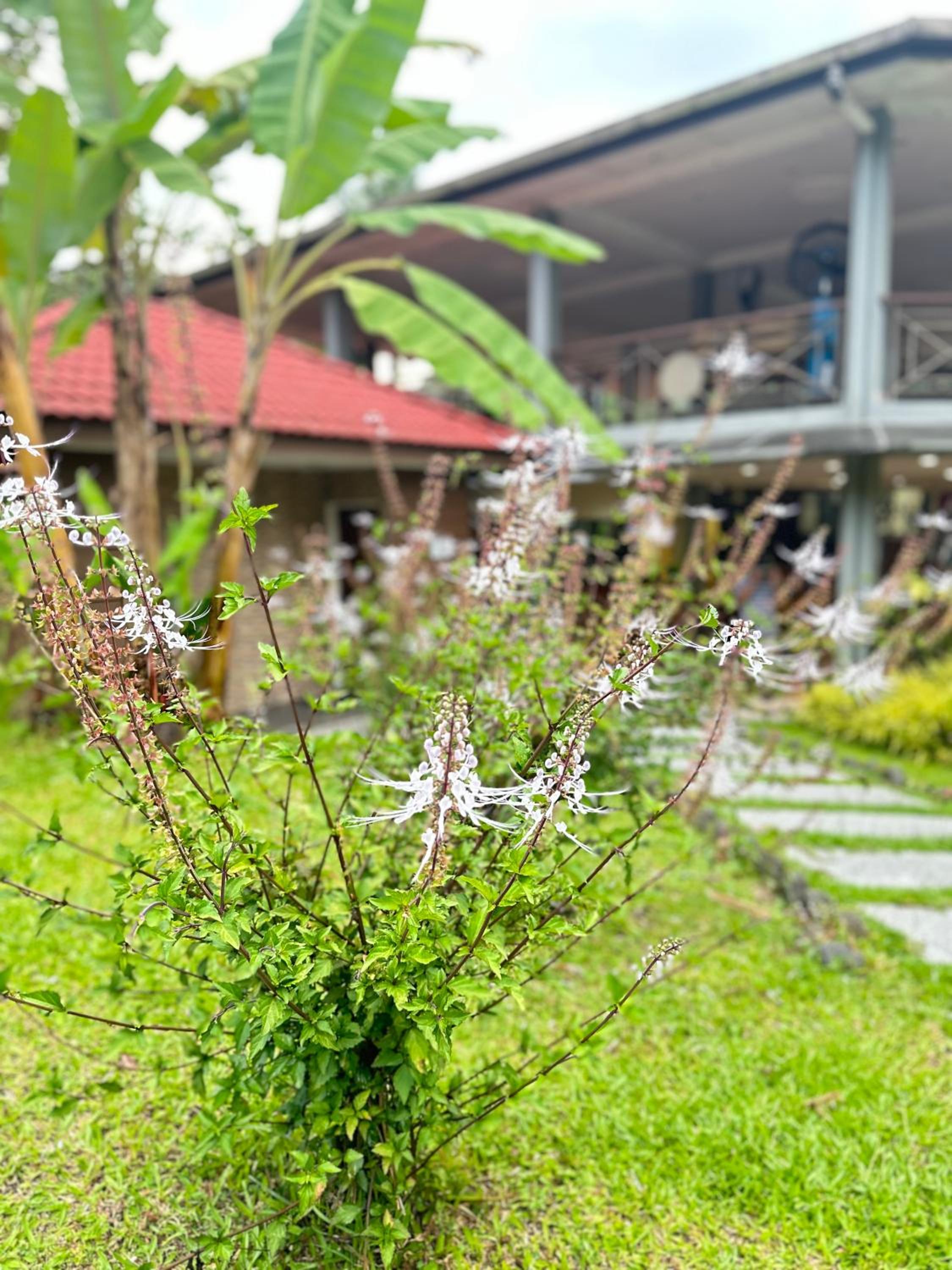 LiLLA Hilltop Retreat - Janda Baik photo 2