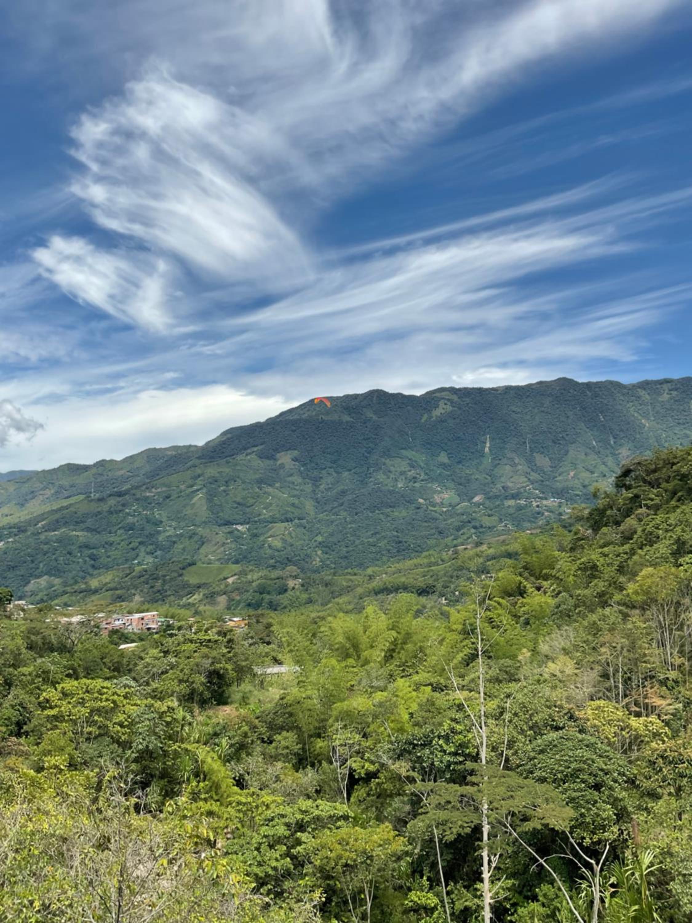 Cabañas Colibrí