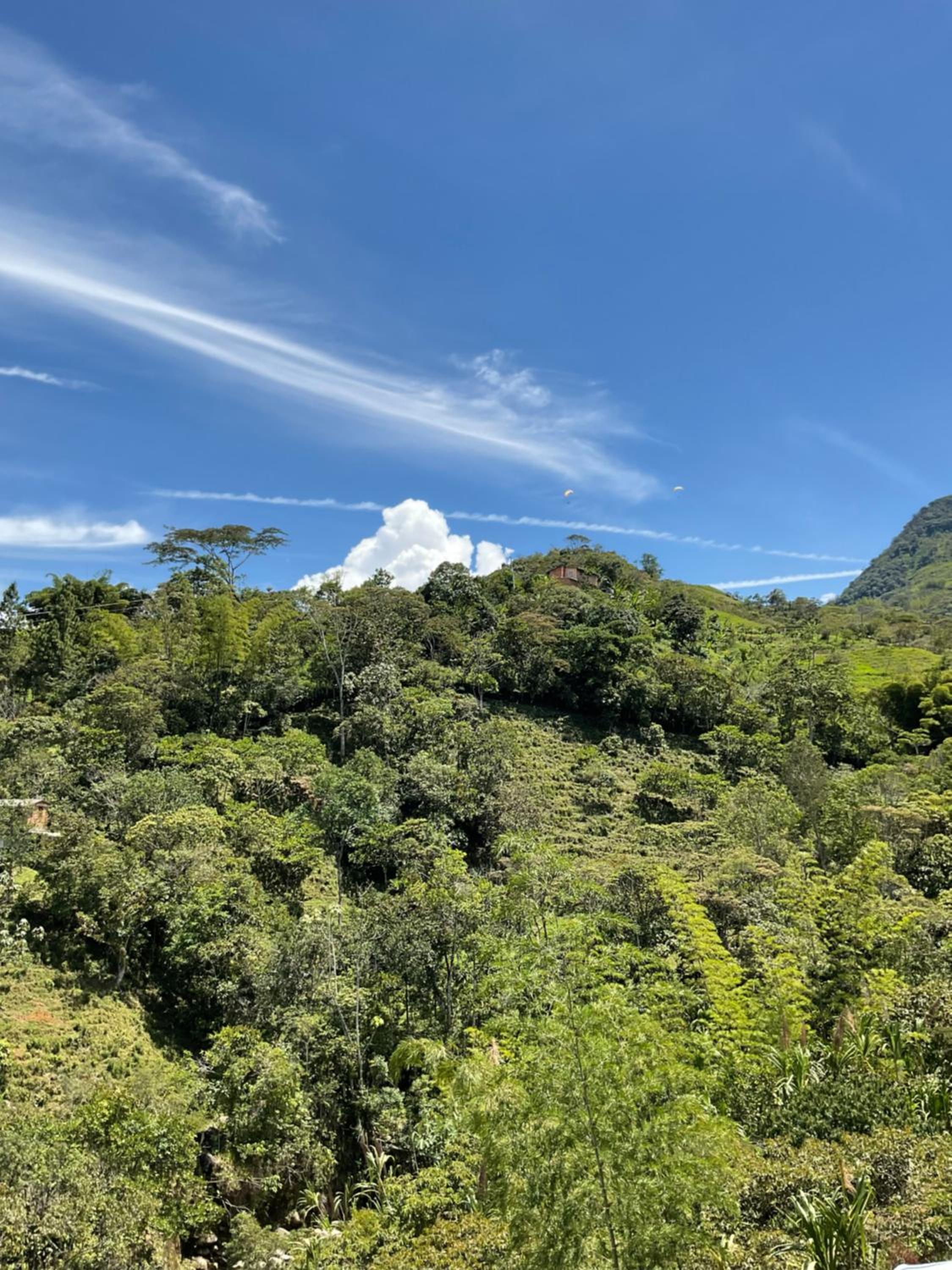 Cabañas Colibrí