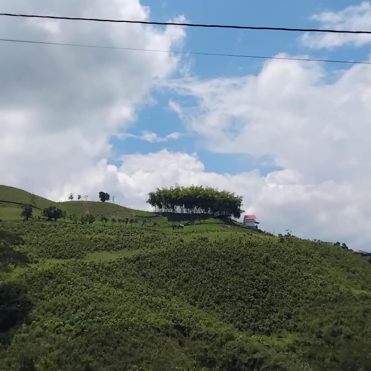 Encantadora Finca en Paraíso Cafetero - La Flor
