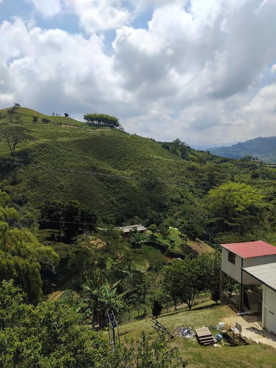 Encantadora Finca en Paraíso Cafetero - La Flor