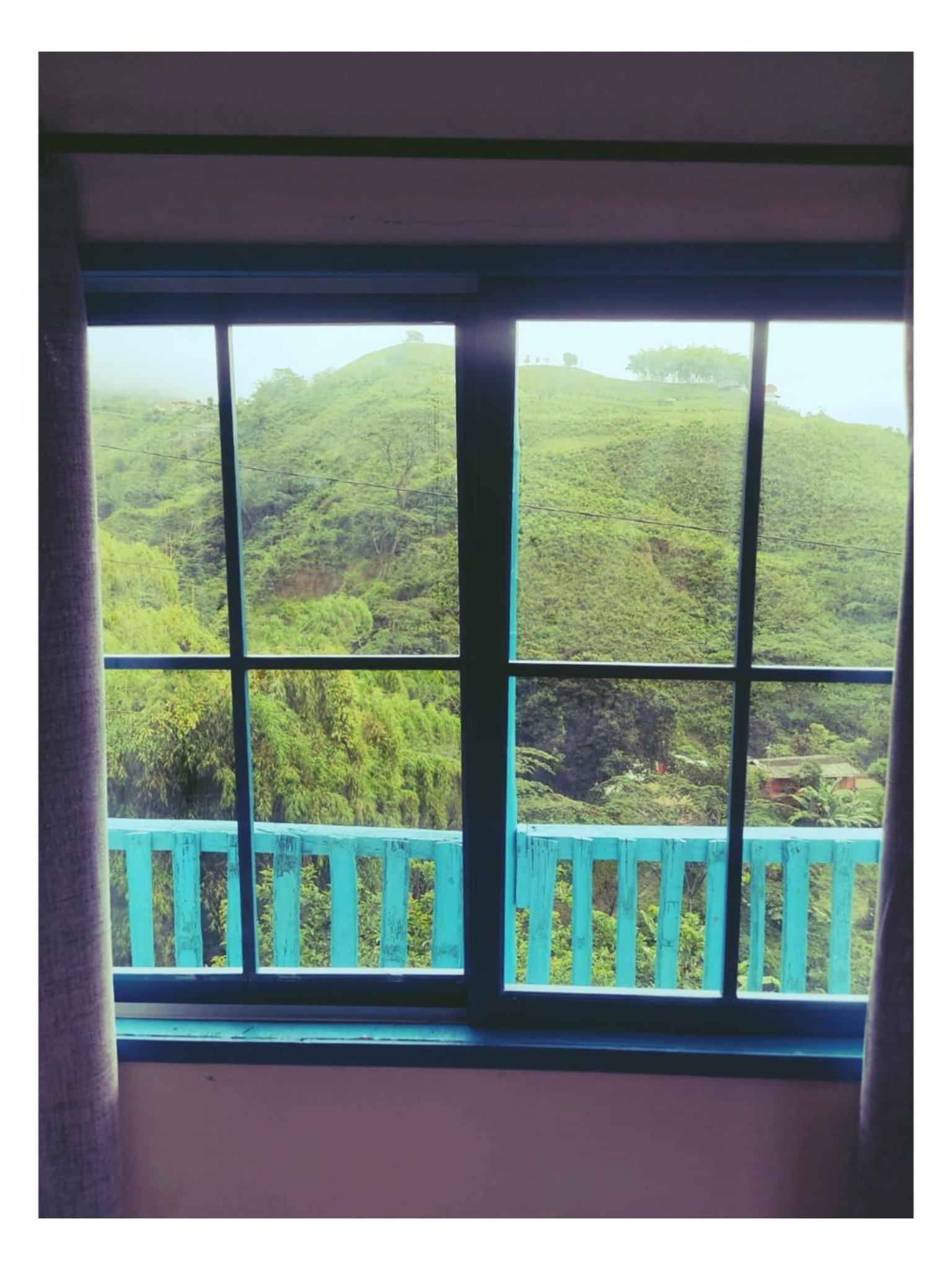 Encantadora Finca en Paraíso Cafetero - La Flor
