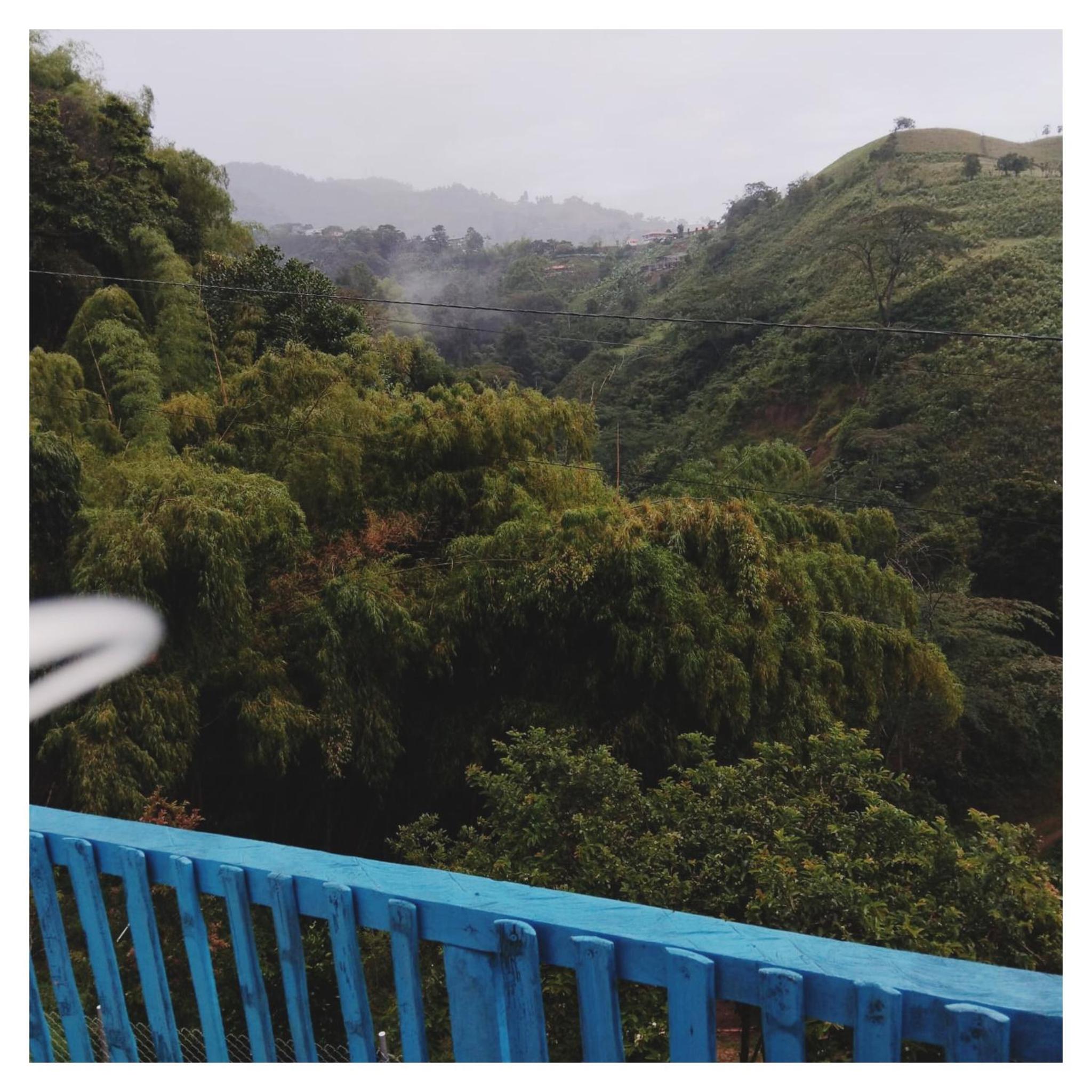 Encantadora Finca en Paraíso Cafetero - La Flor