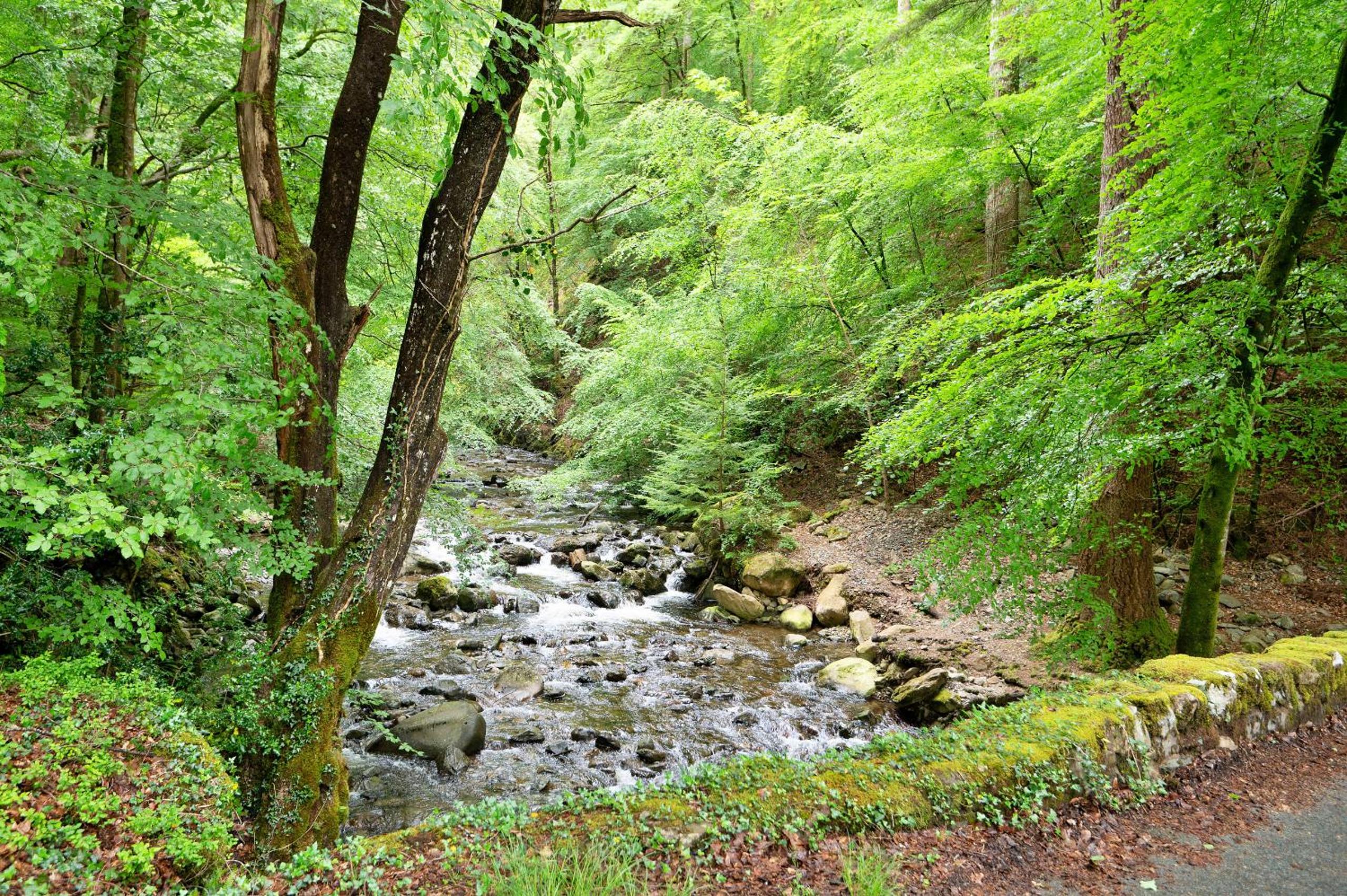 Finest Retreats - Hermon Bach view 4