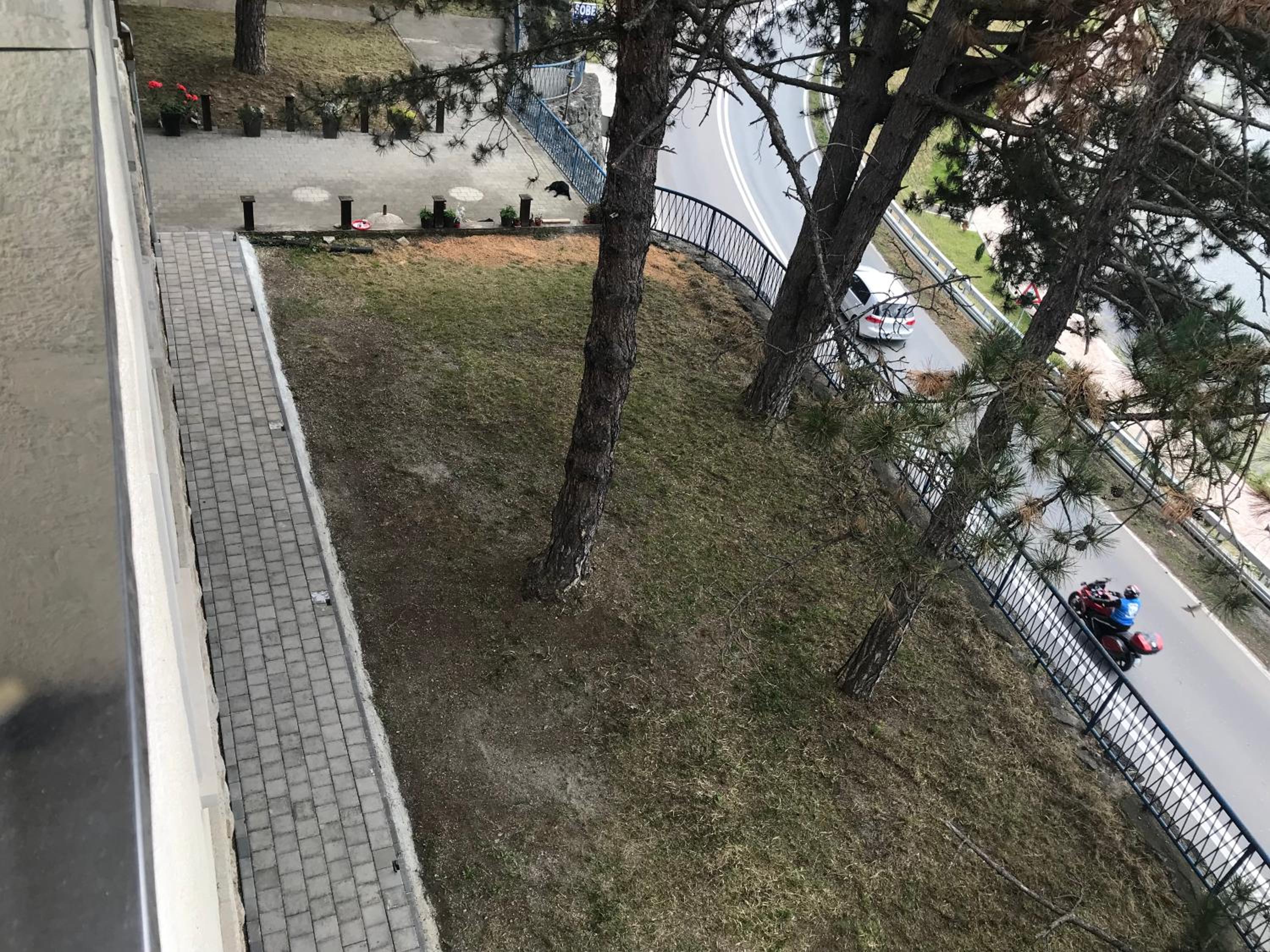 Apartman