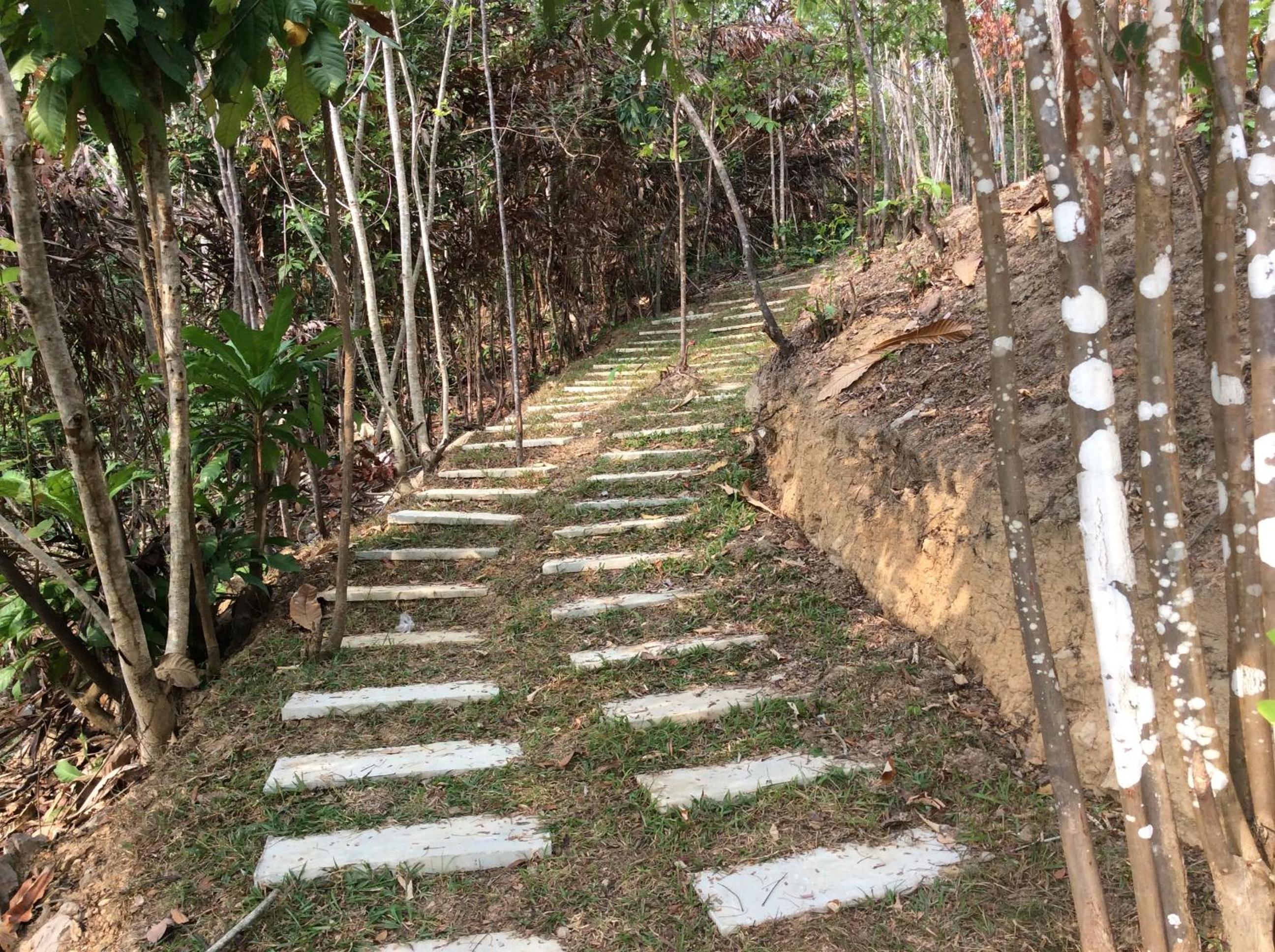 Palm Beach Bungalow Resort — photo 56