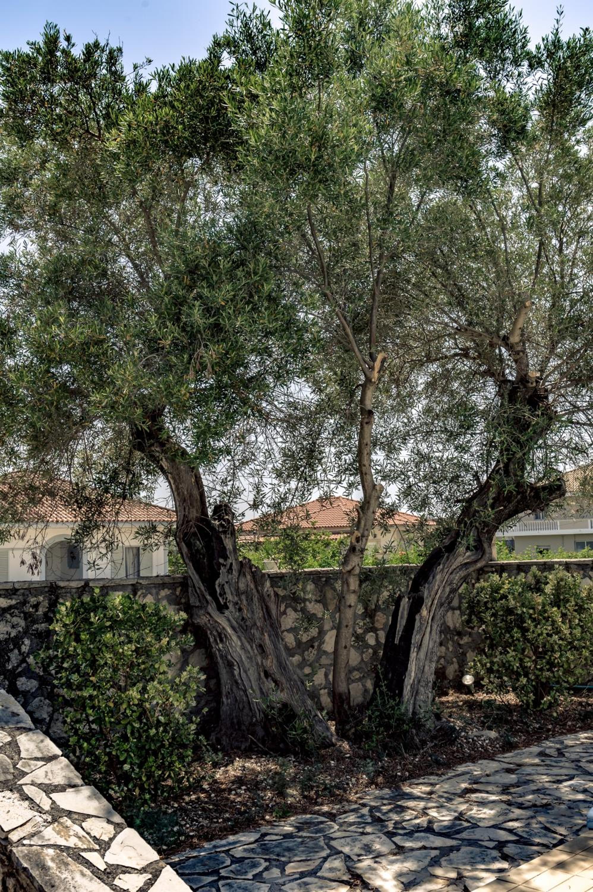 Charming Villa in Agrilia with Private Pool photo 4