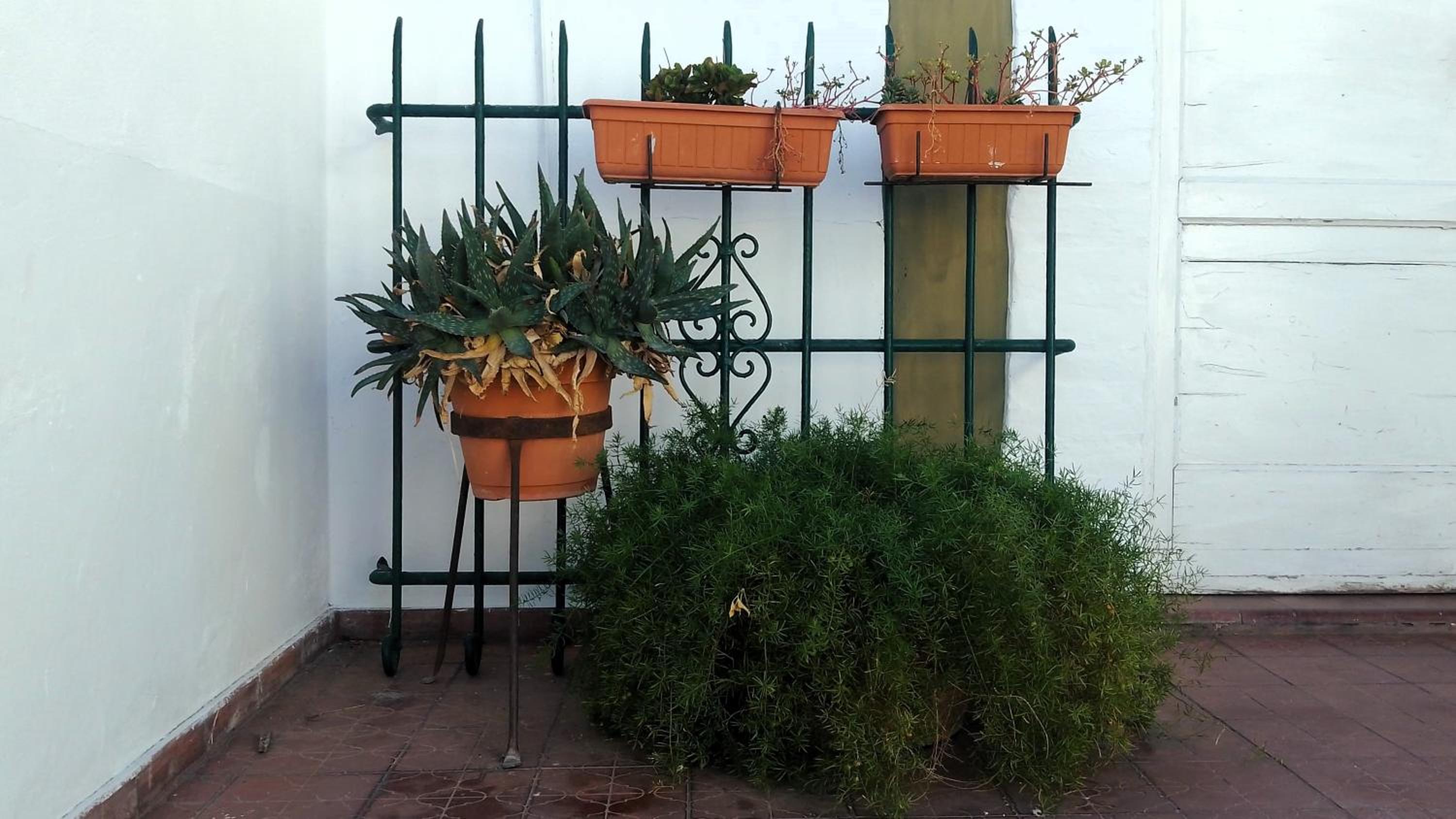 Departamento Independiente con Terraza