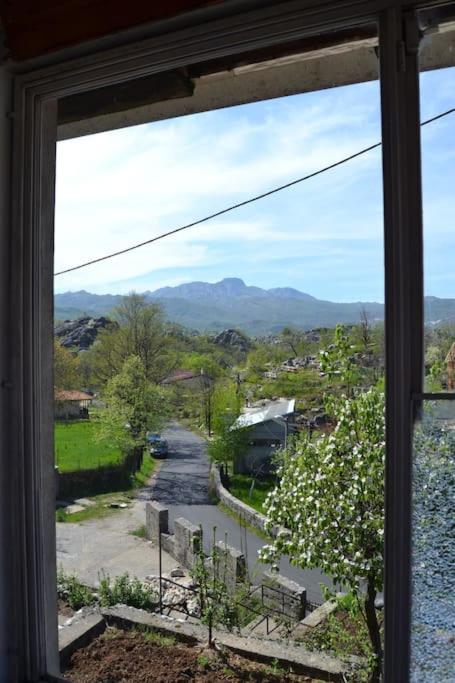 Una Apartment Cetinje